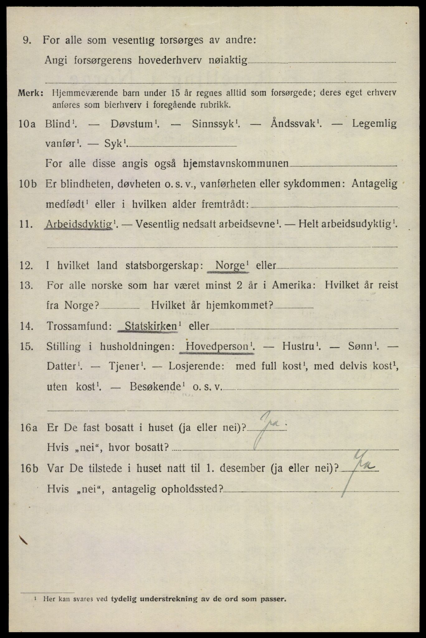 SAKO, 1920 census for Nes (Buskerud), 1920, p. 4339