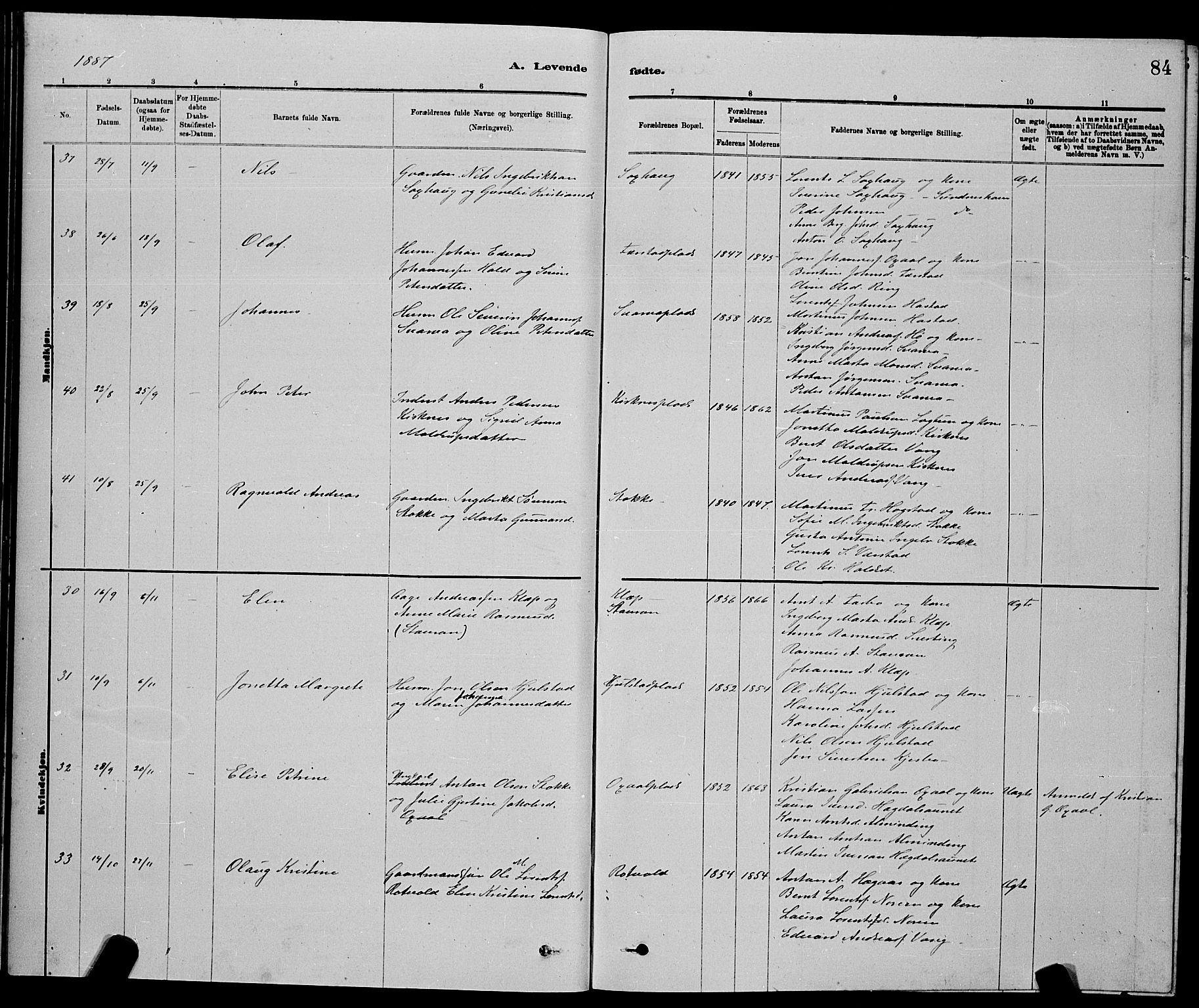 Ministerialprotokoller, klokkerbøker og fødselsregistre - Nord-Trøndelag, AV/SAT-A-1458/730/L0301: Parish register (copy) no. 730C04, 1880-1897, p. 84