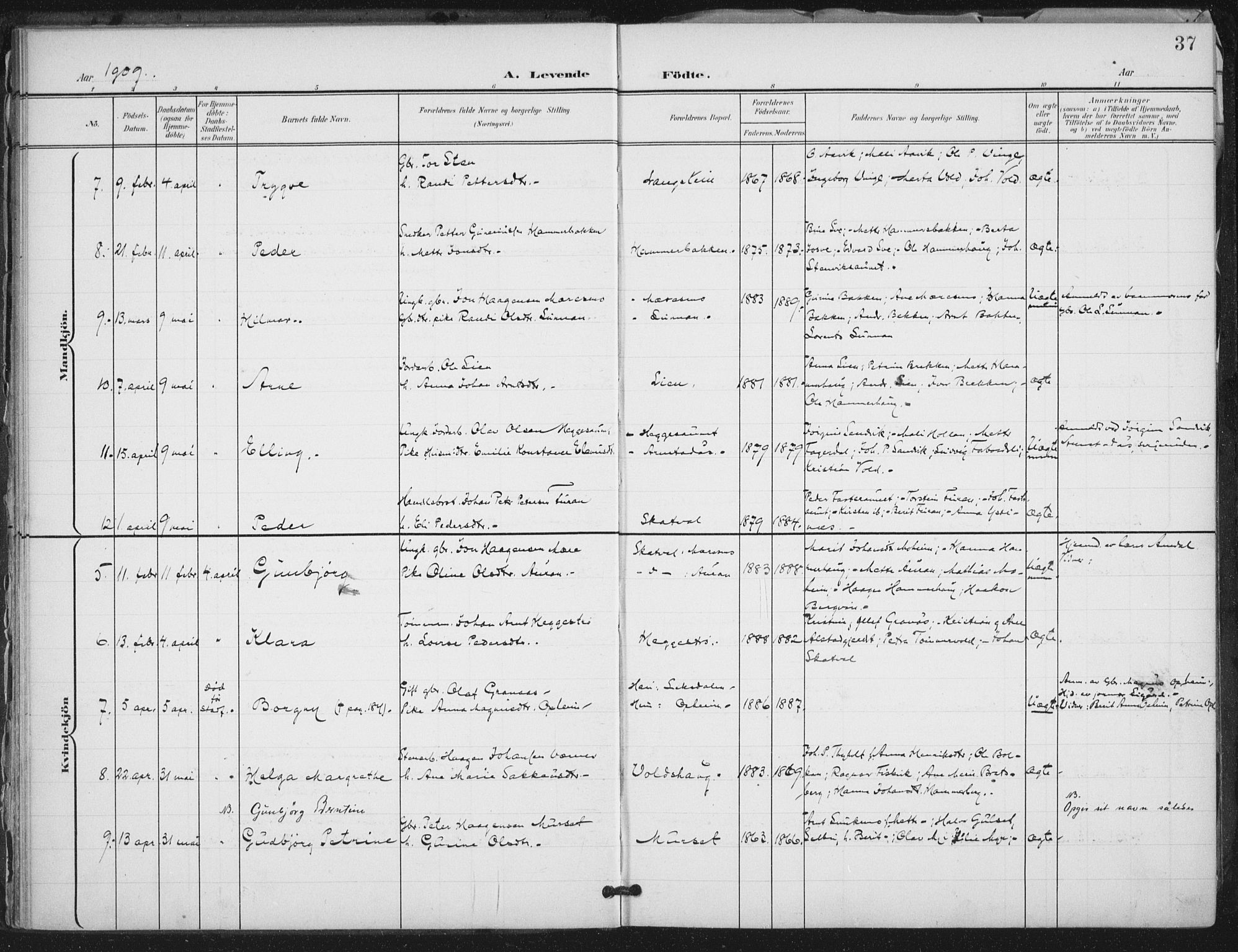 Ministerialprotokoller, klokkerbøker og fødselsregistre - Nord-Trøndelag, AV/SAT-A-1458/712/L0101: Parish register (official) no. 712A02, 1901-1916, p. 37