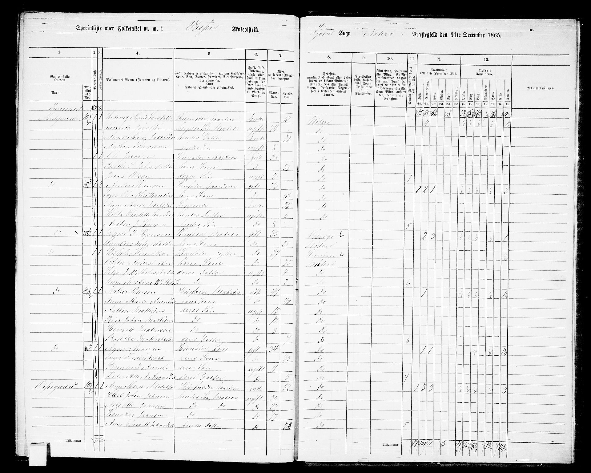 RA, 1865 census for Nøtterøy, 1865, p. 302