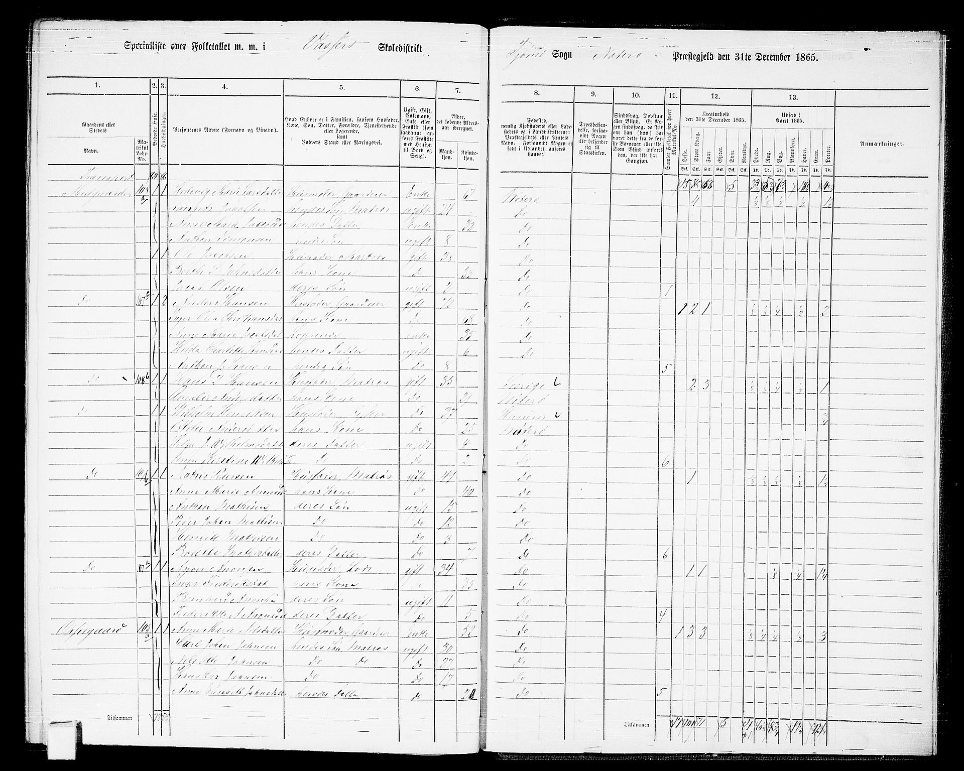 RA, 1865 census for Nøtterøy, 1865, p. 302