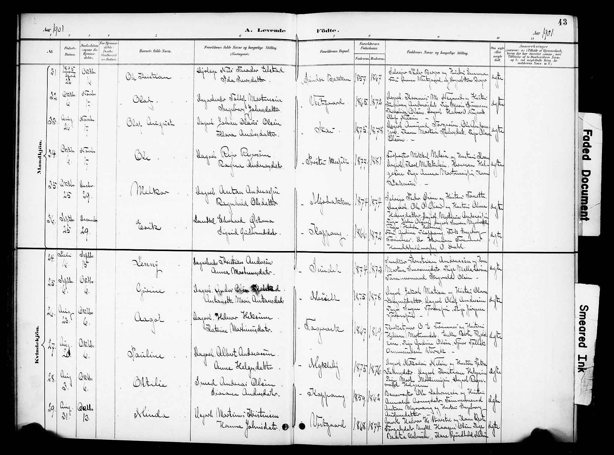 Stor-Elvdal prestekontor, SAH/PREST-052/H/Ha/Hab/L0003: Parish register (copy) no. 3, 1895-1917, p. 43