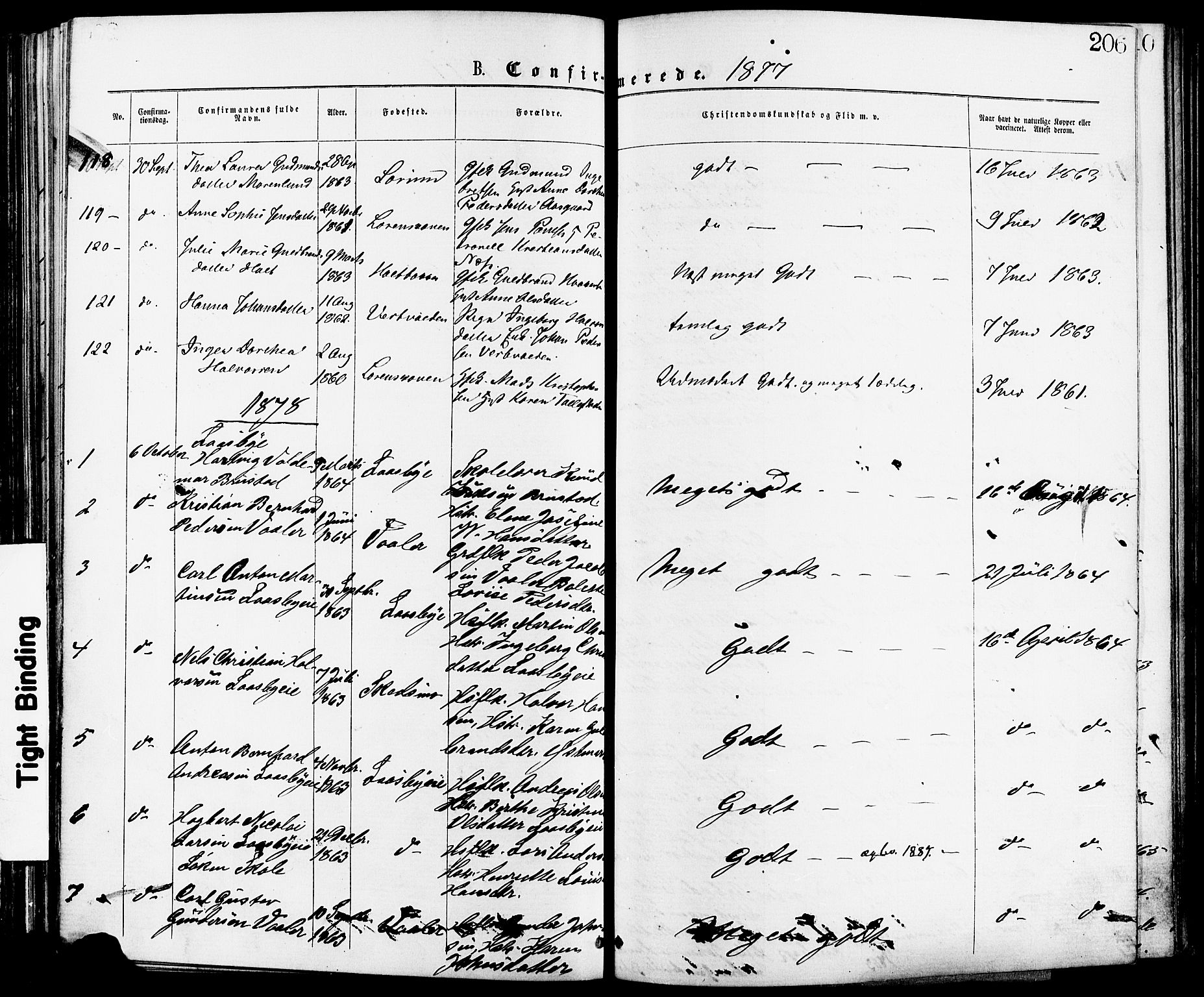 Skedsmo prestekontor Kirkebøker, AV/SAO-A-10033a/F/Fa/L0012: Parish register (official) no. I 12, 1876-1883, p. 206