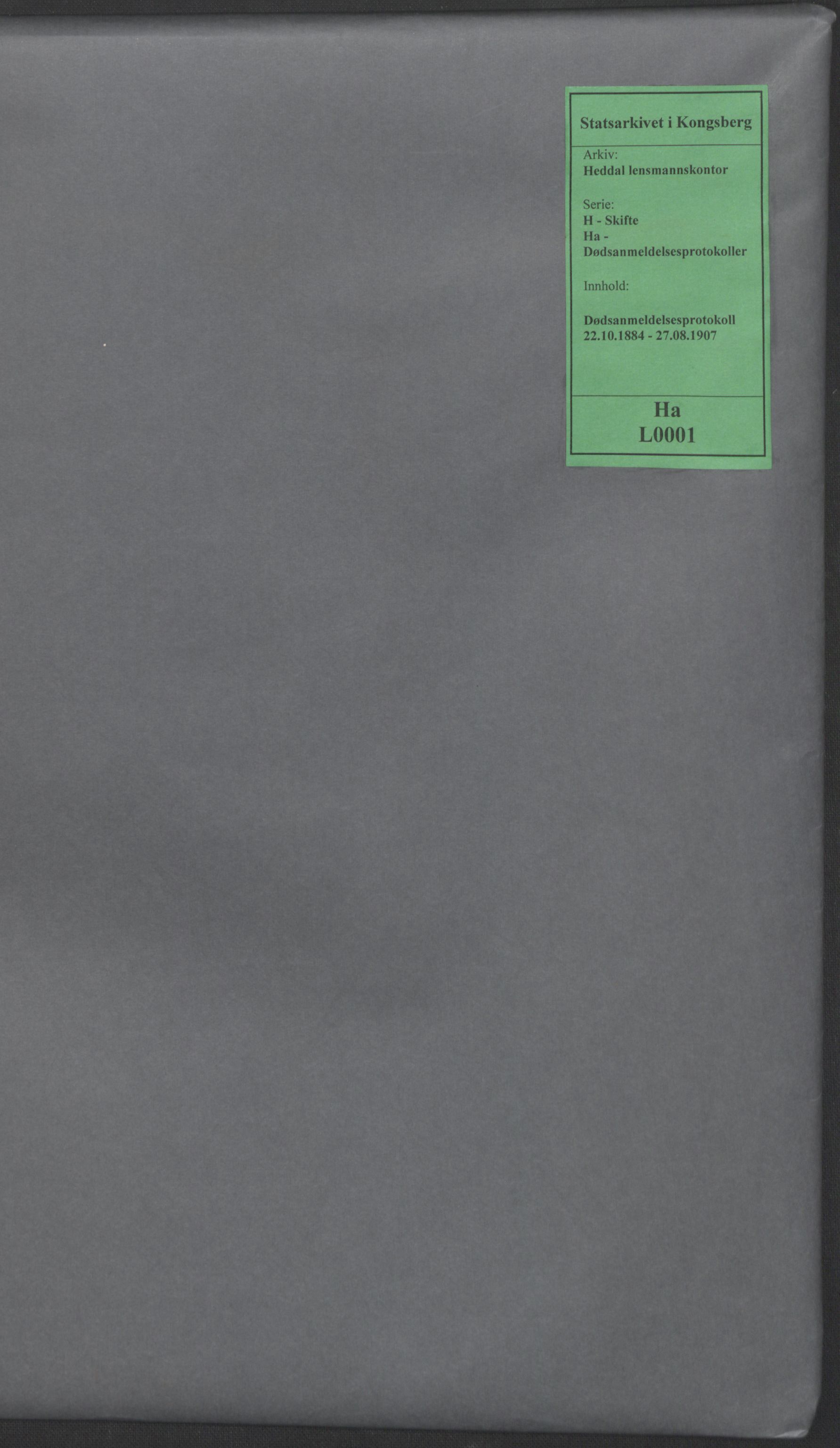 Heddal lensmannskontor, SAKO/A-558/H/Ha/L0001: Dødsanmeldelsesprotokoll, 1884-1907