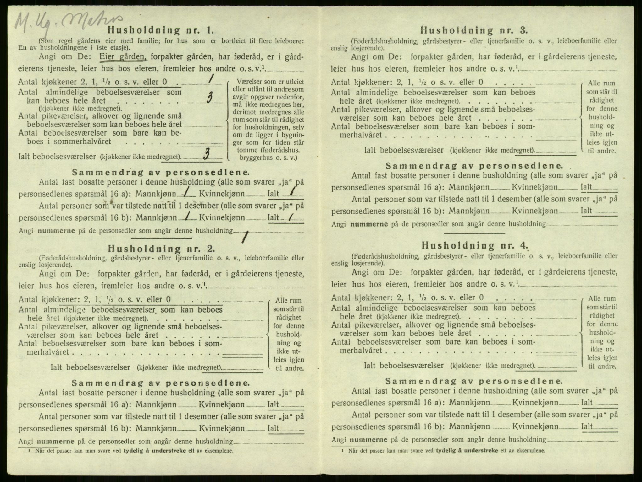 SAKO, 1920 census for Tjøme, 1920, p. 904