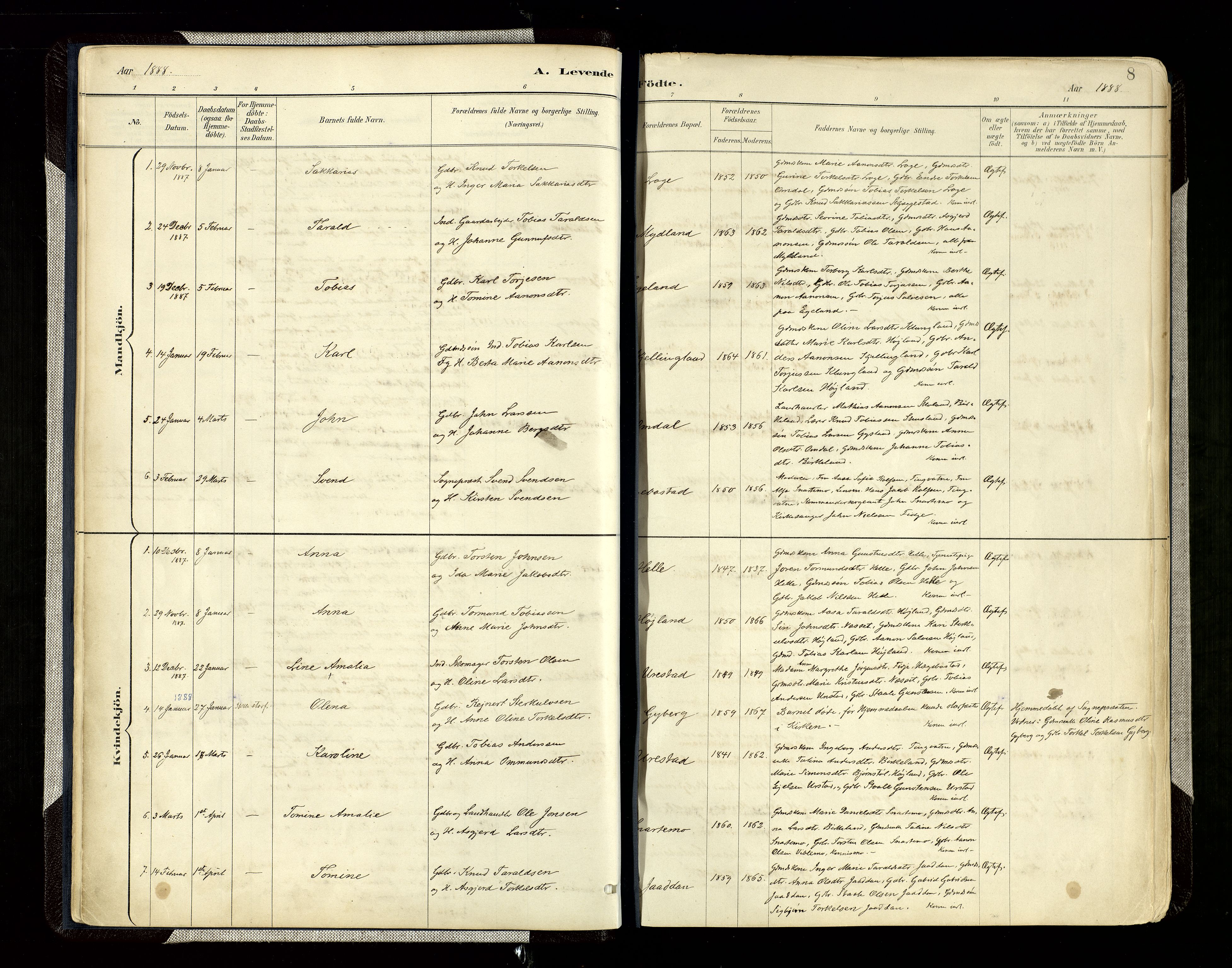 Hægebostad sokneprestkontor, SAK/1111-0024/F/Fa/Faa/L0006: Parish register (official) no. A 6, 1887-1929, p. 8