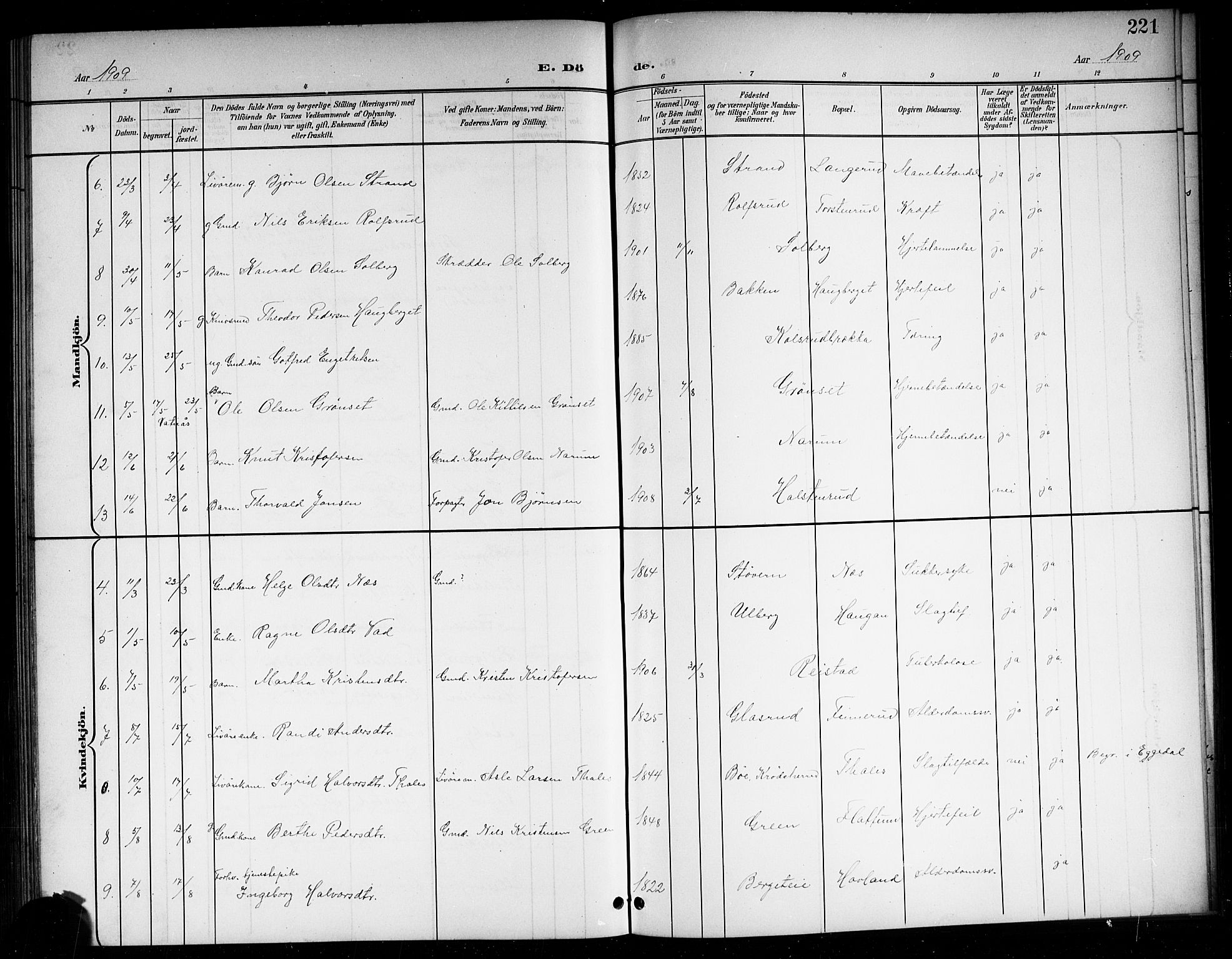 Sigdal kirkebøker, SAKO/A-245/G/Ga/L0006: Parish register (copy) no. I 6, 1901-1916, p. 221