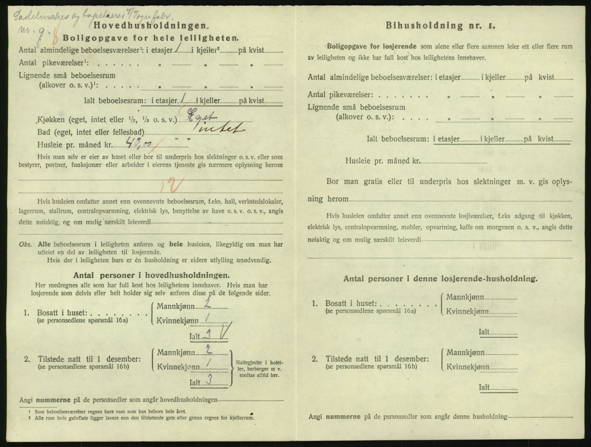 SAH, 1920 census for Gjøvik, 1920, p. 805