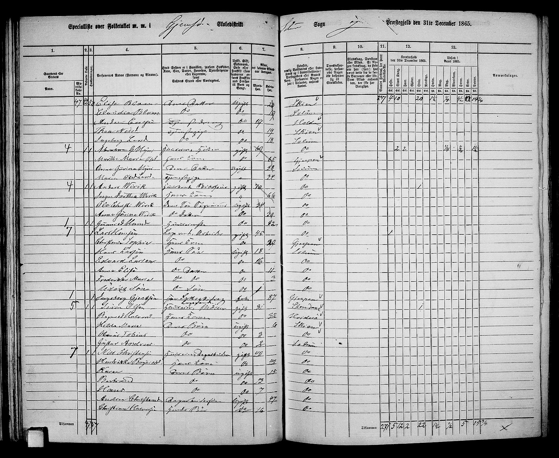 RA, 1865 census for Solum, 1865, p. 55