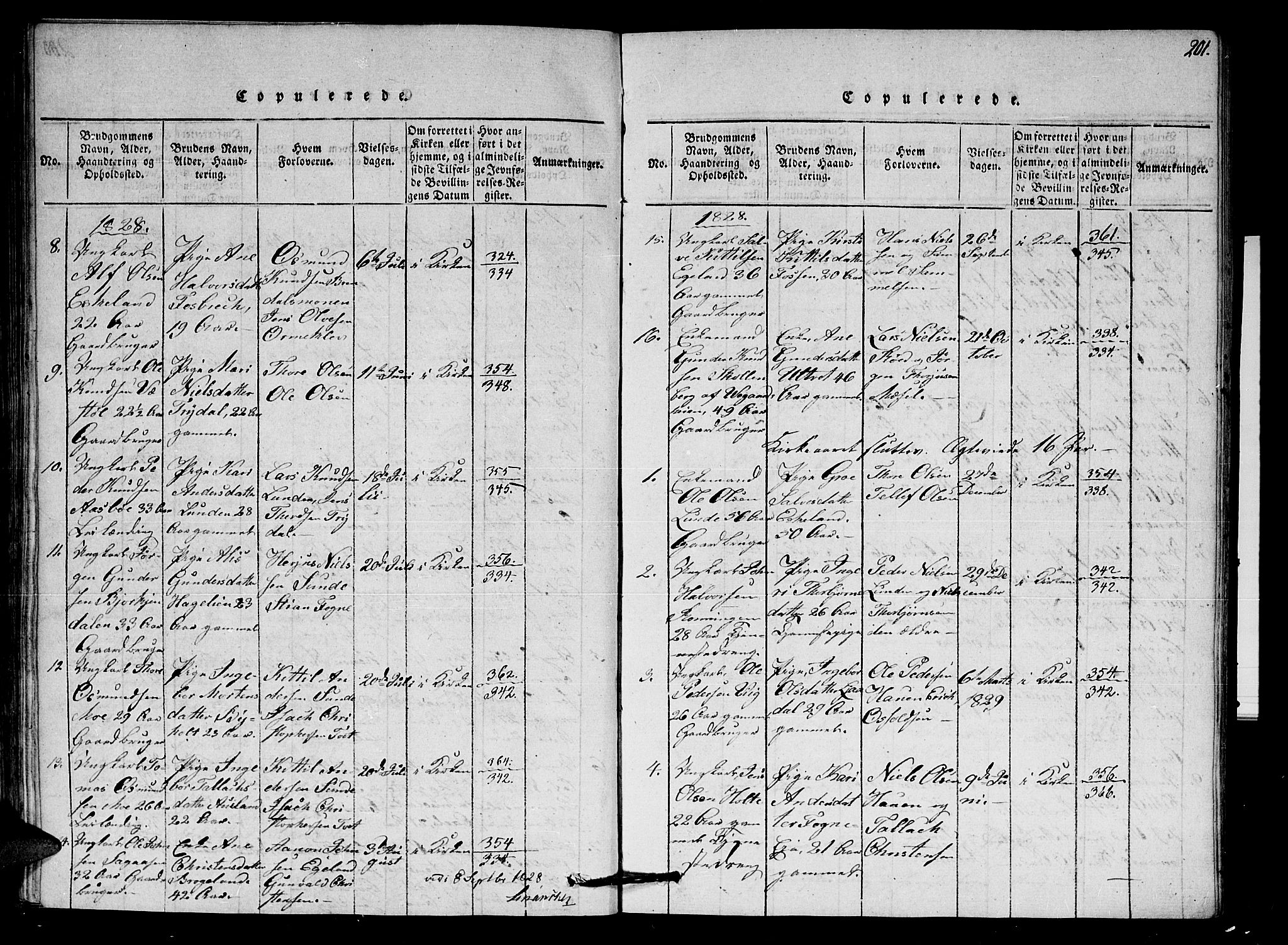 Gjerstad sokneprestkontor, AV/SAK-1111-0014/F/Fa/Faa/L0004: Parish register (official) no. A 4, 1816-1829, p. 201