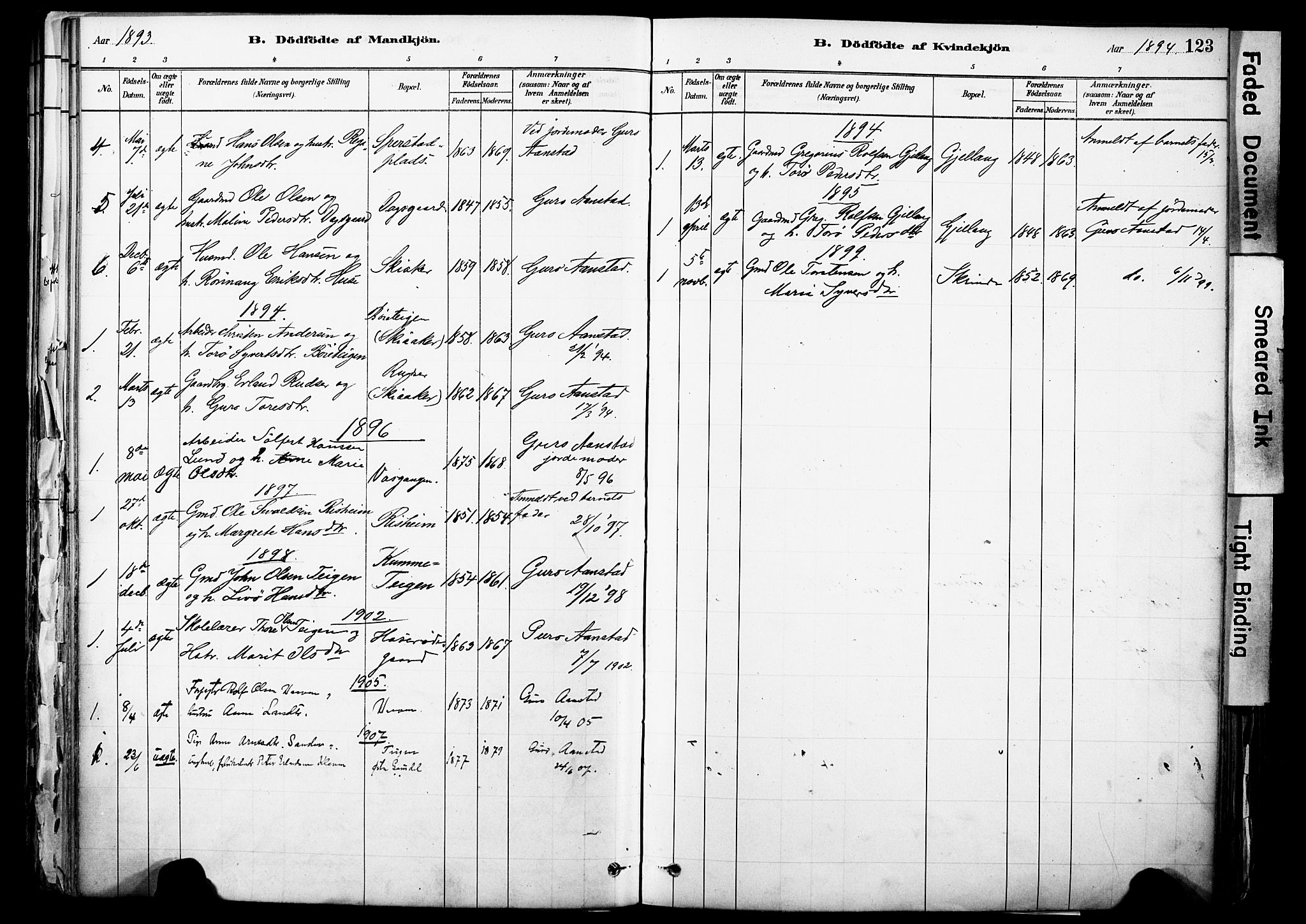 Skjåk prestekontor, AV/SAH-PREST-072/H/Ha/Haa/L0003: Parish register (official) no. 3, 1880-1907, p. 123