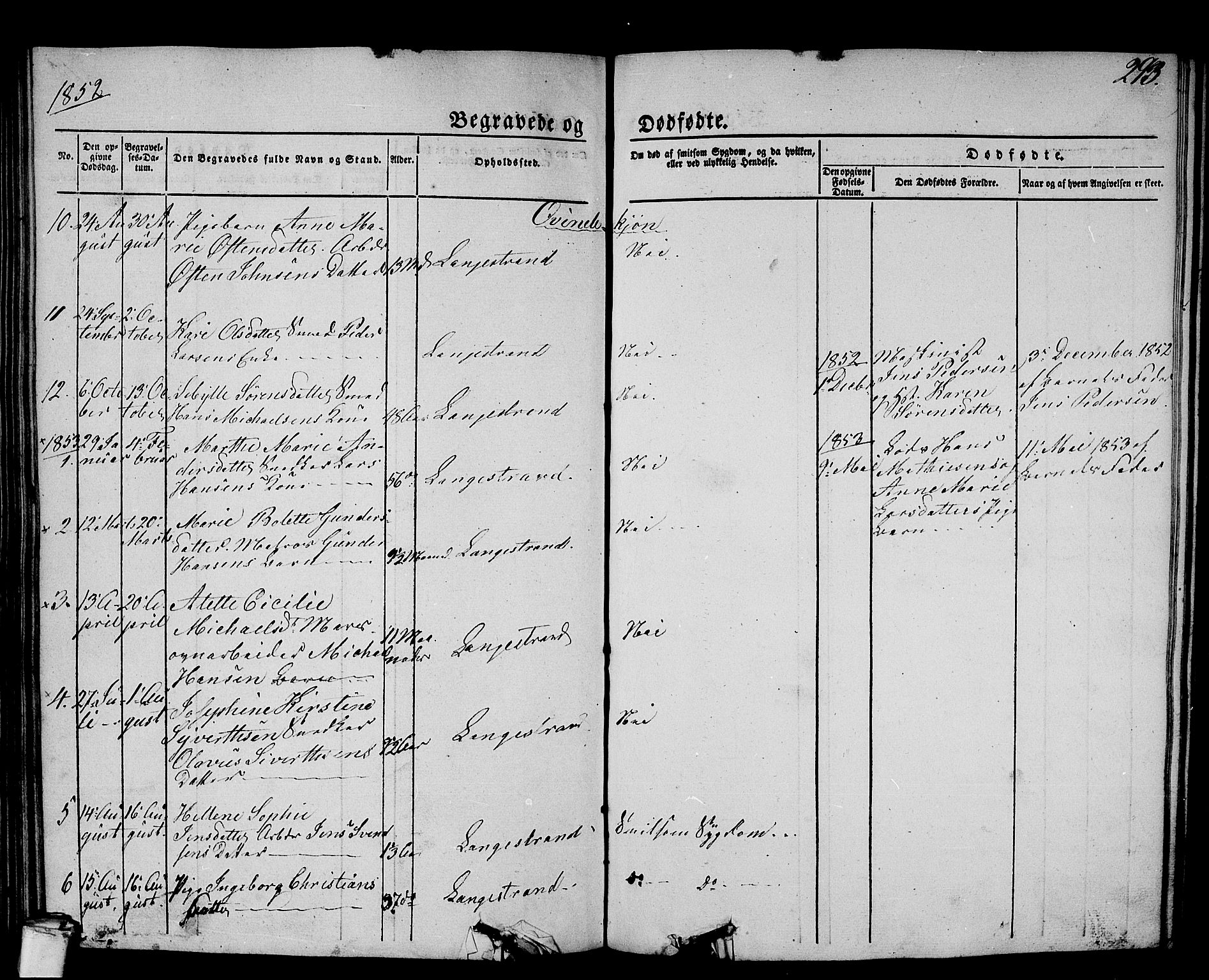 Larvik kirkebøker, AV/SAKO-A-352/G/Gb/L0002: Parish register (copy) no. II 2, 1843-1866, p. 293