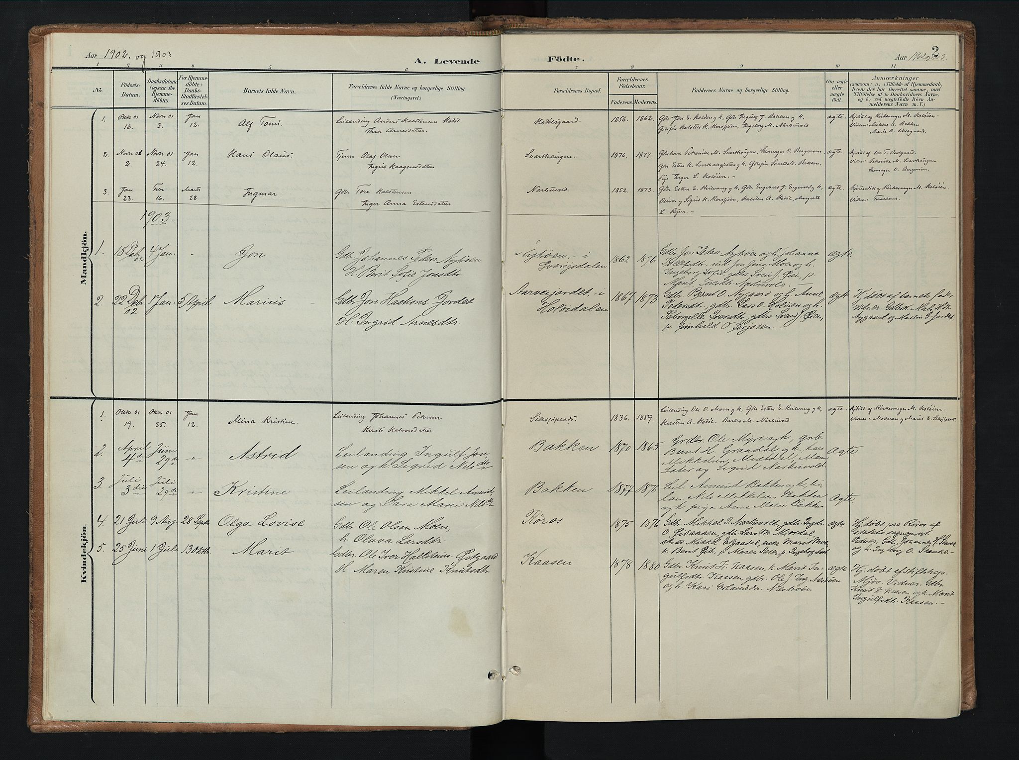 Tolga prestekontor, SAH/PREST-062/K/L0010: Parish register (official) no. 10, 1901-1915, p. 2