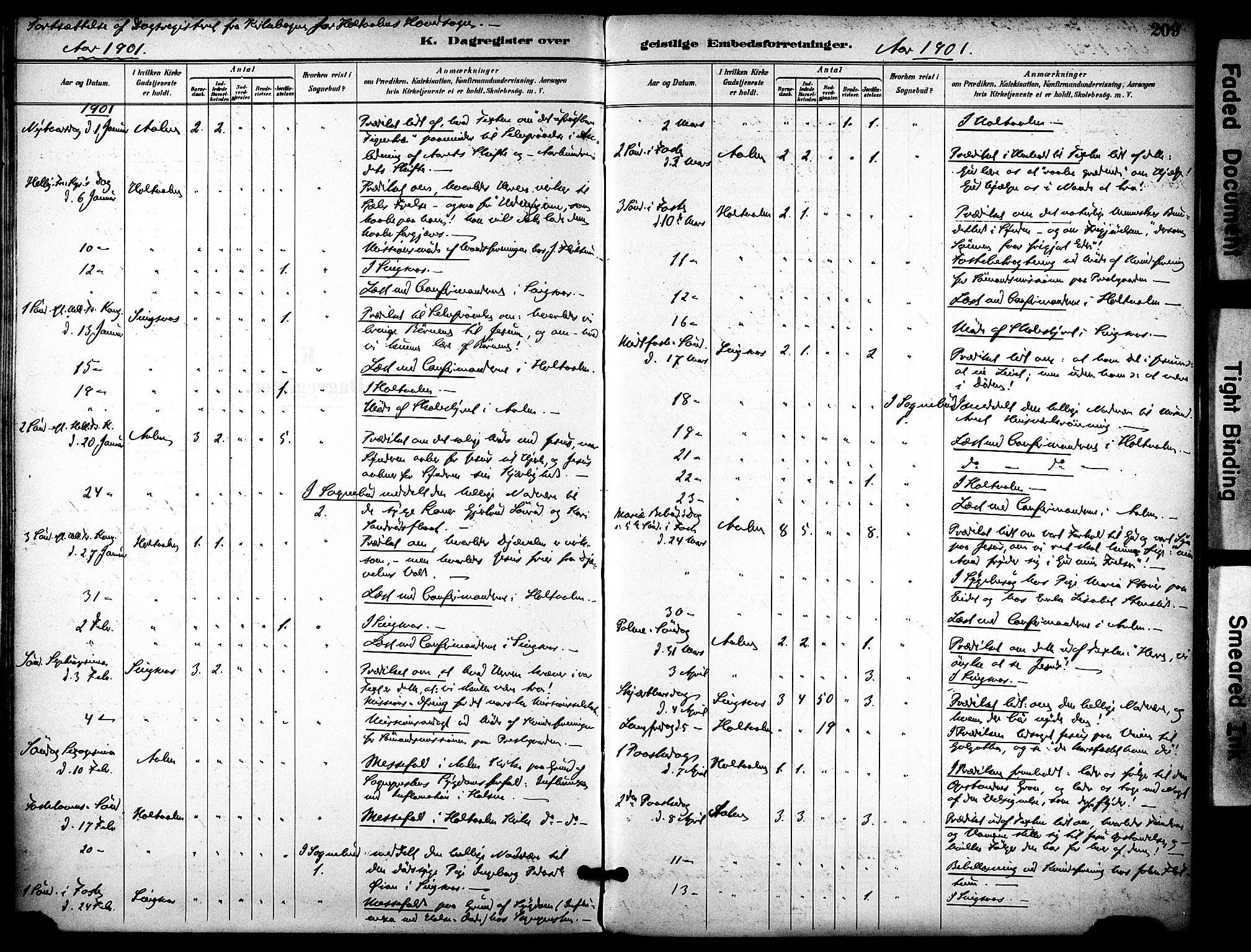 Ministerialprotokoller, klokkerbøker og fødselsregistre - Sør-Trøndelag, SAT/A-1456/686/L0984: Parish register (official) no. 686A02, 1891-1906, p. 209