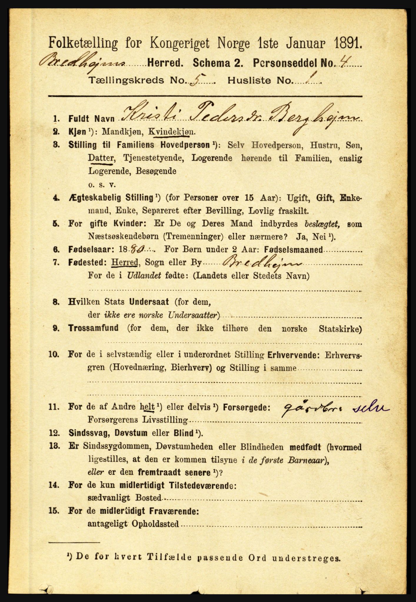 RA, 1891 census for 1446 Breim, 1891, p. 1739