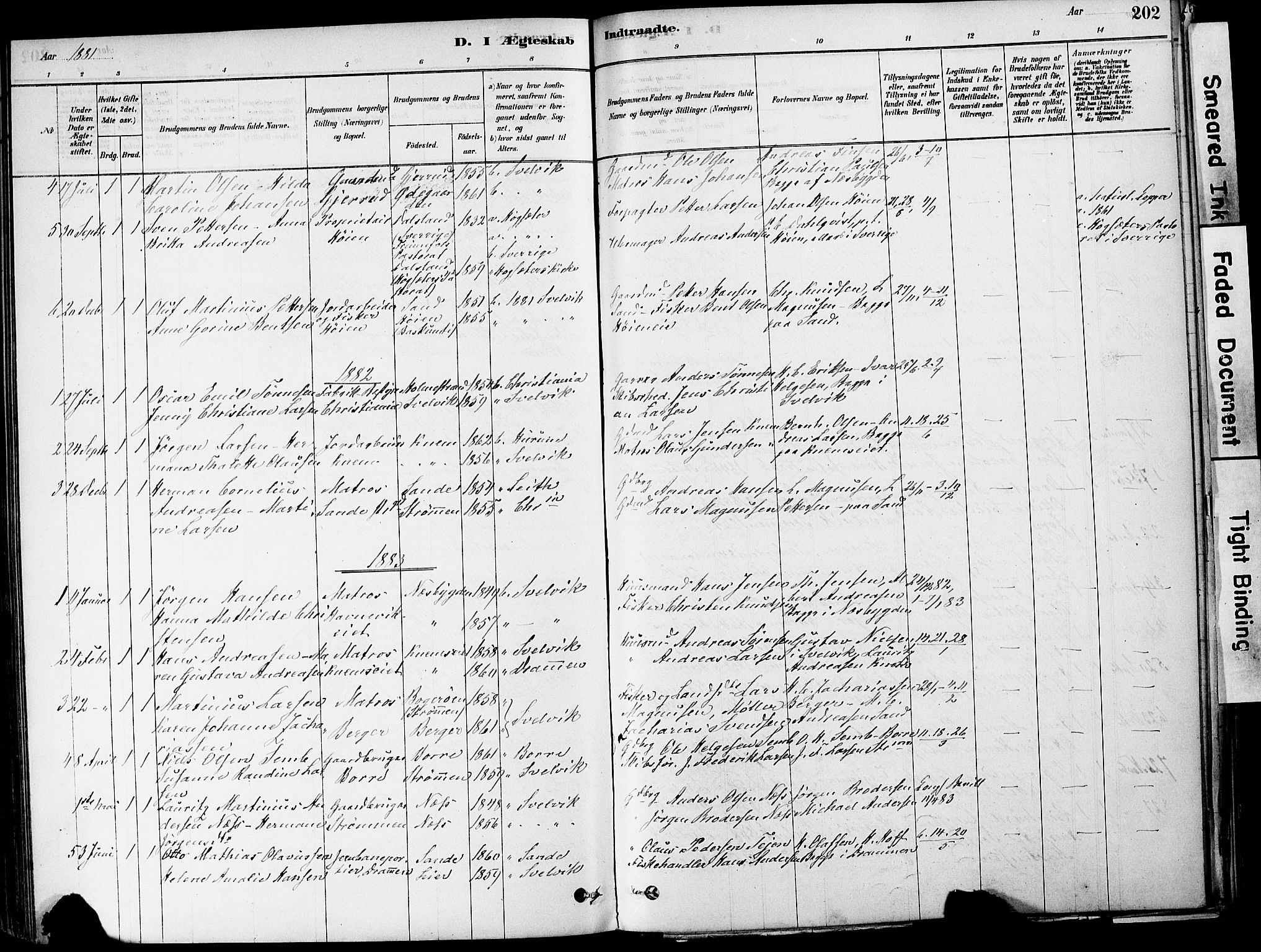 Strømm kirkebøker, AV/SAKO-A-322/F/Fa/L0004: Parish register (official) no. I 4, 1878-1899, p. 202