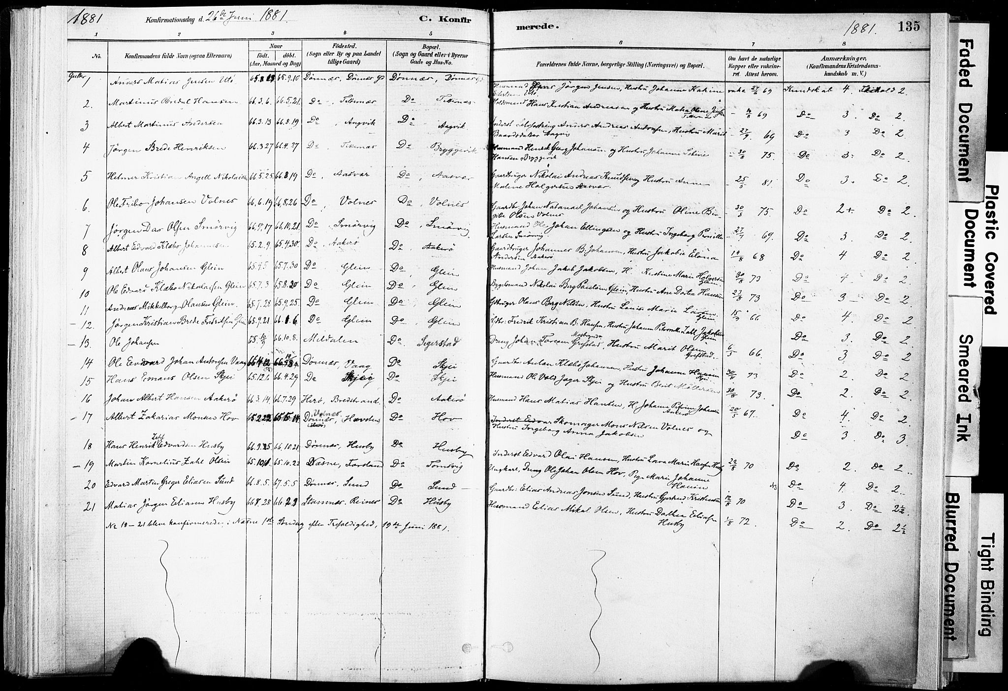 Ministerialprotokoller, klokkerbøker og fødselsregistre - Nordland, AV/SAT-A-1459/835/L0525: Parish register (official) no. 835A03I, 1881-1910, p. 135