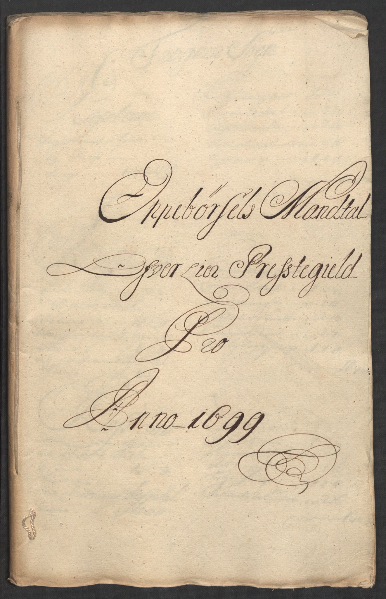 Rentekammeret inntil 1814, Reviderte regnskaper, Fogderegnskap, RA/EA-4092/R30/L1696: Fogderegnskap Hurum, Røyken, Eiker og Lier, 1698-1699, p. 246
