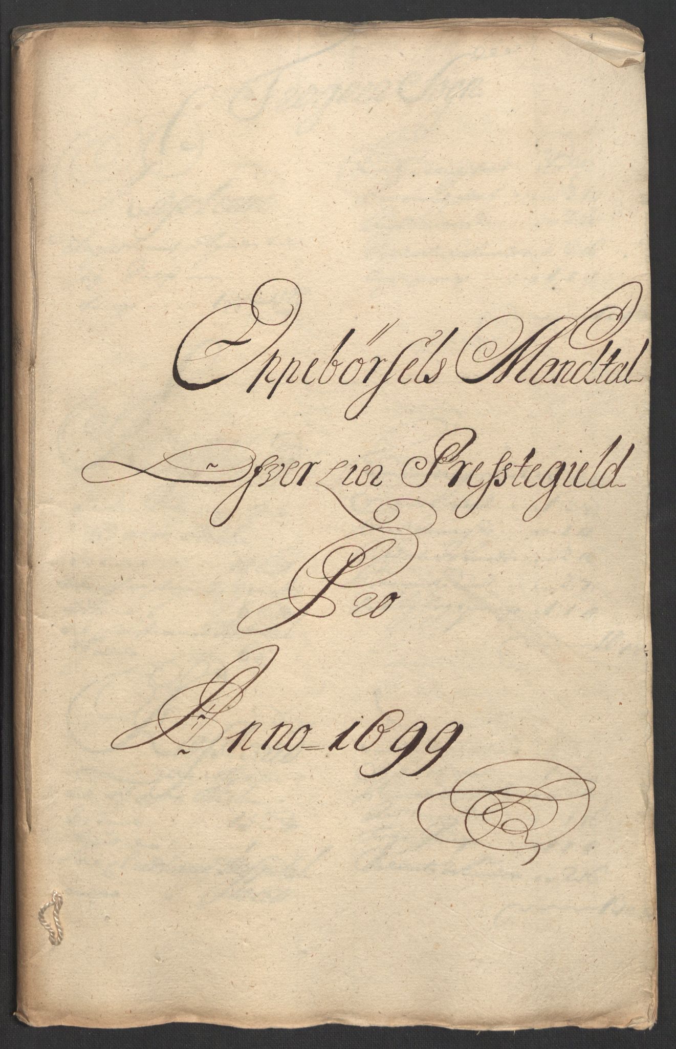 Rentekammeret inntil 1814, Reviderte regnskaper, Fogderegnskap, AV/RA-EA-4092/R30/L1696: Fogderegnskap Hurum, Røyken, Eiker og Lier, 1698-1699, p. 246