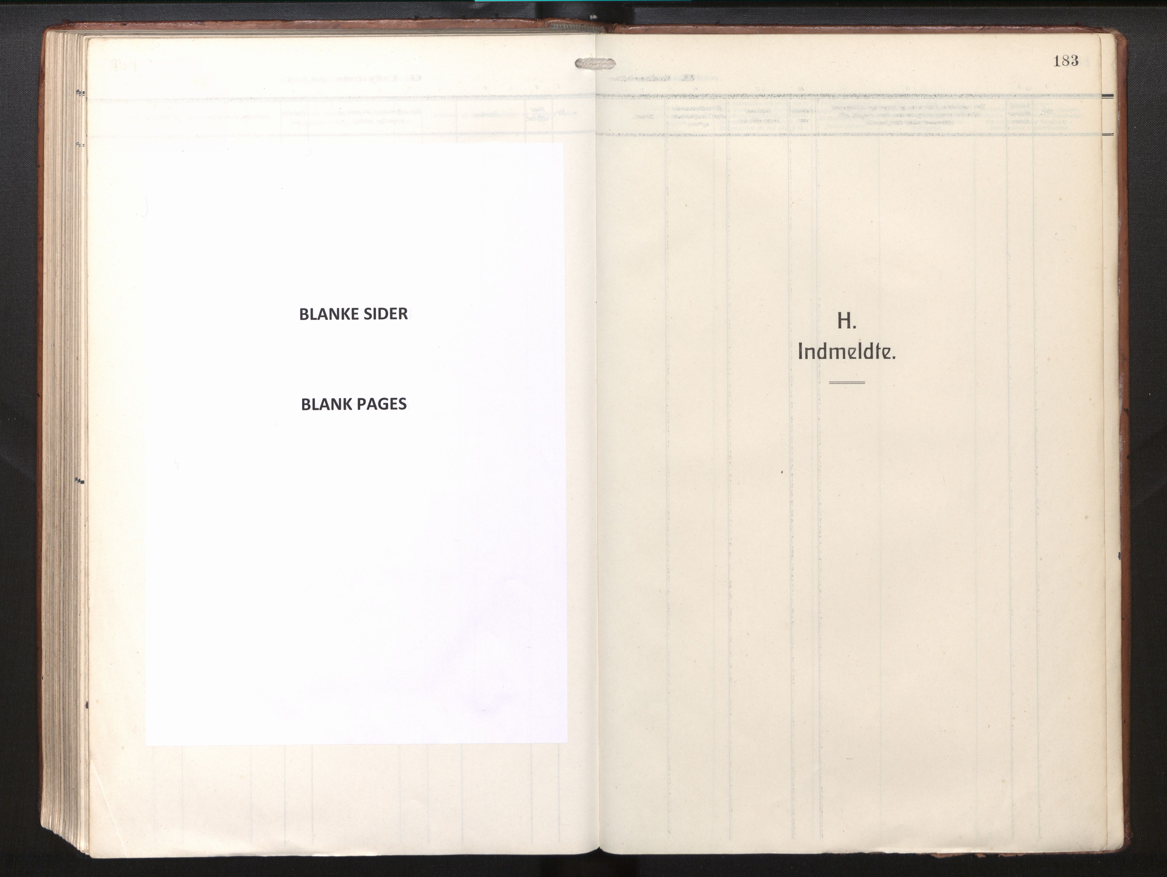 Lindås Sokneprestembete, SAB/A-76701/H/Haa/Haab/L0003: Parish register (official) no. B 3, 1912-1929, p. 183