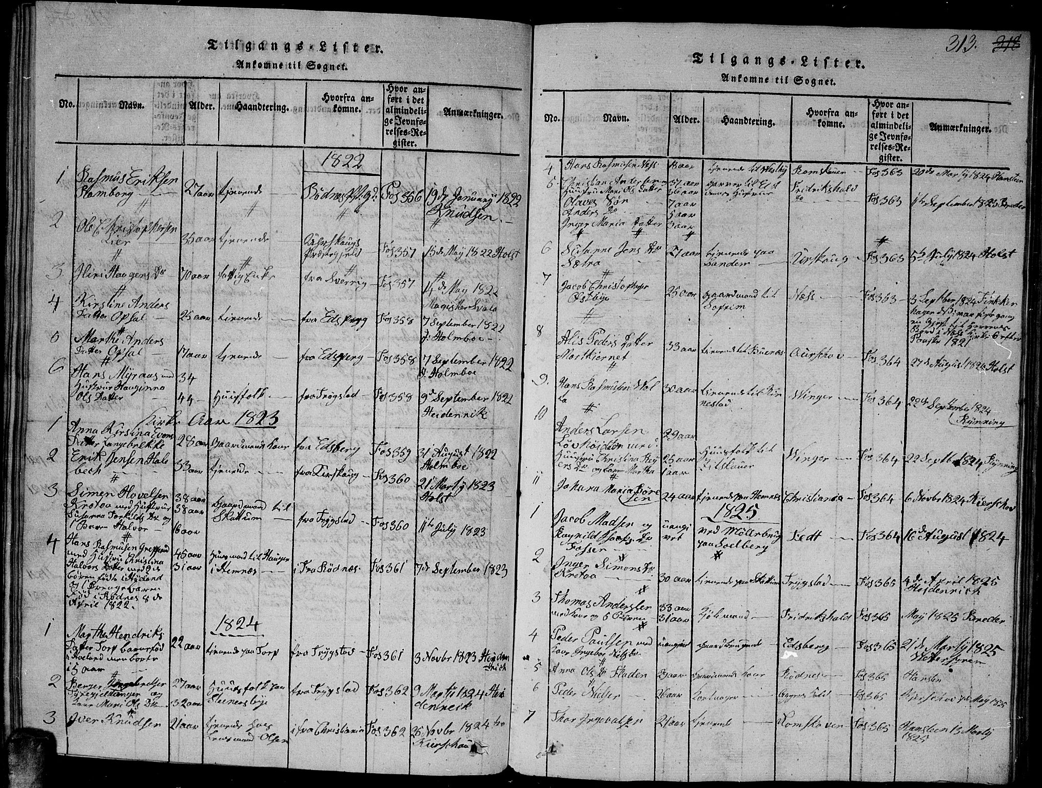 Høland prestekontor Kirkebøker, SAO/A-10346a/G/Ga/L0001: Parish register (copy) no. I 1, 1814-1827, p. 313