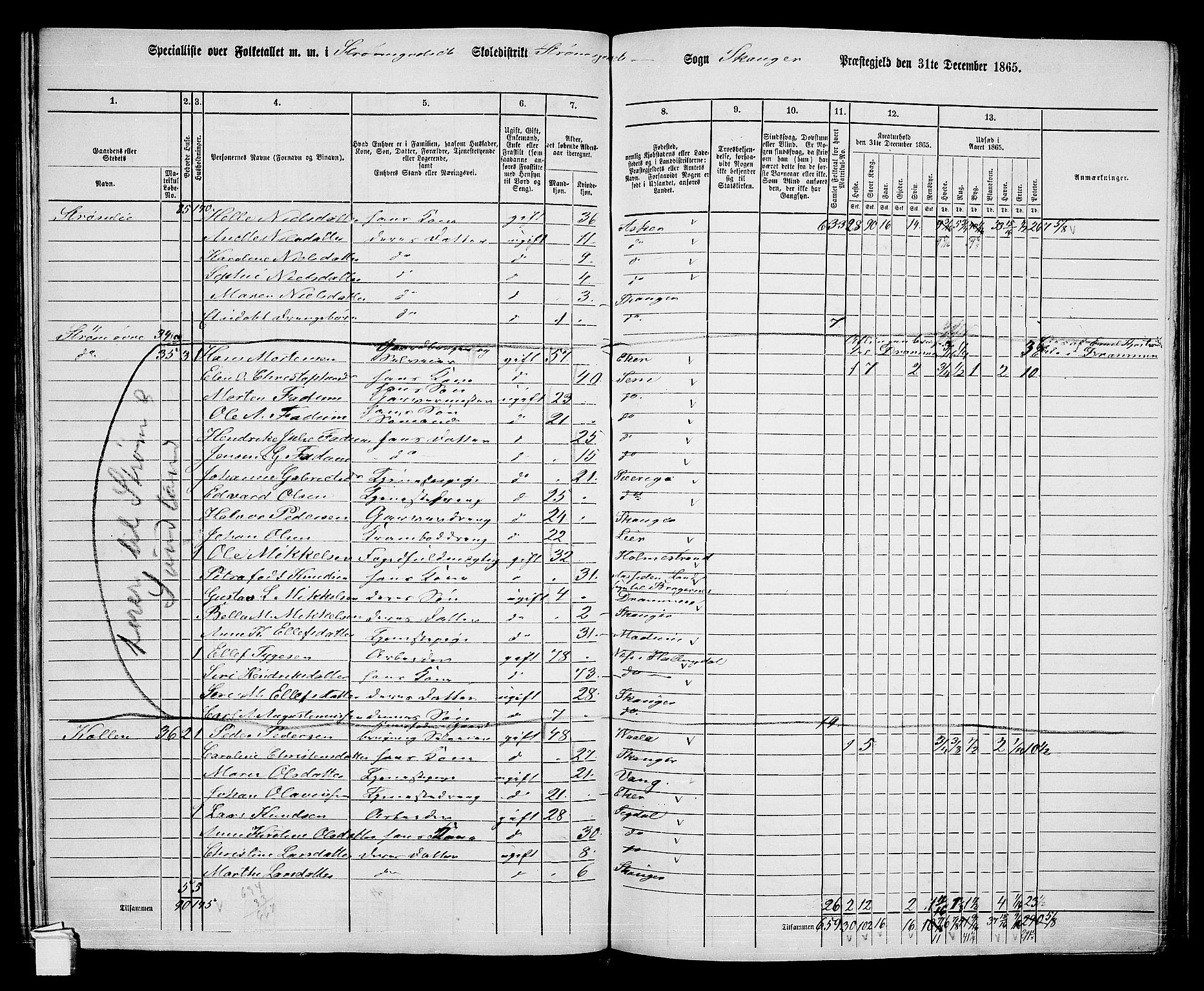 RA, 1865 census for Skoger, 1865, p. 137