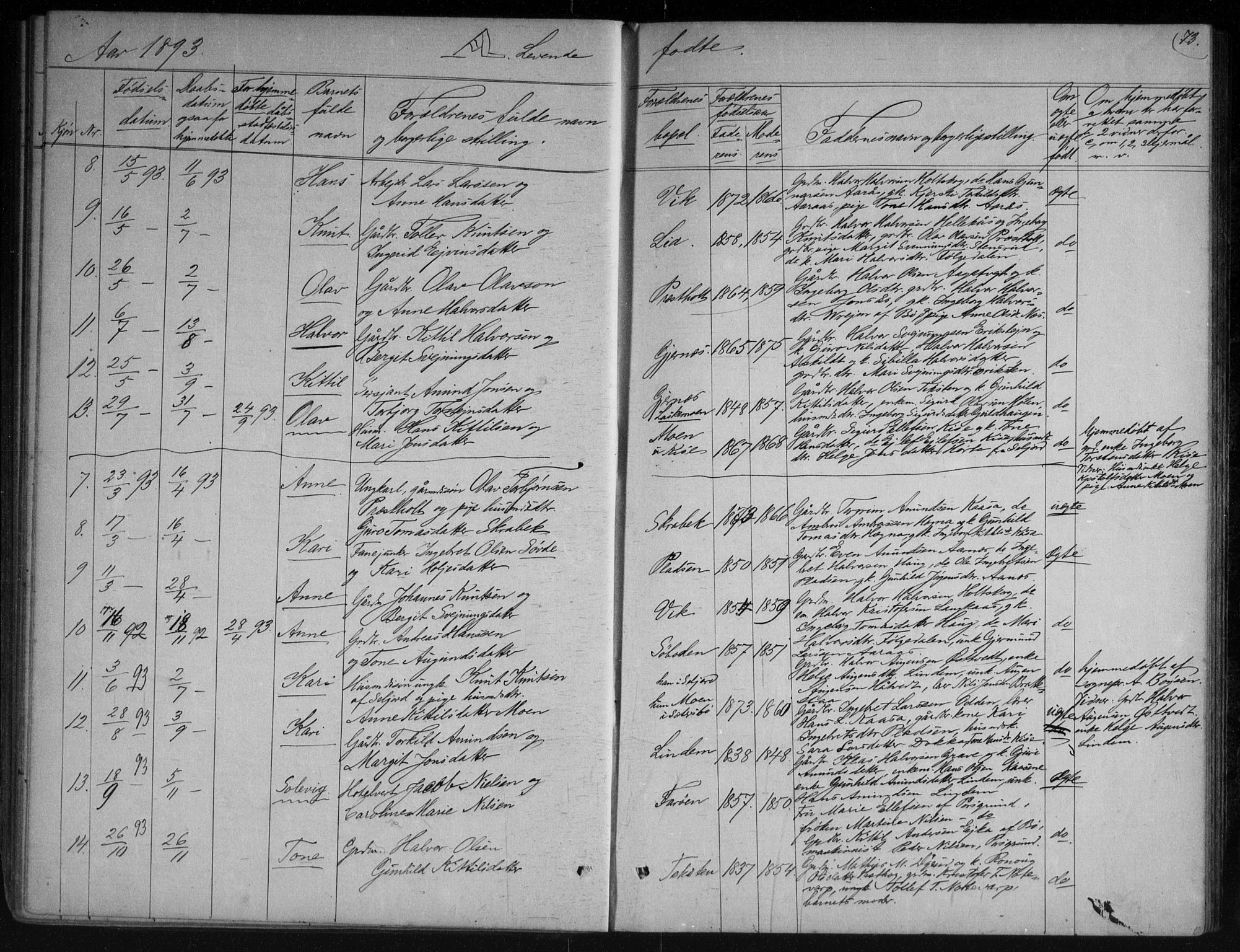 Sauherad kirkebøker, AV/SAKO-A-298/G/Gb/L0002: Parish register (copy) no. II 2, 1866-1897, p. 73
