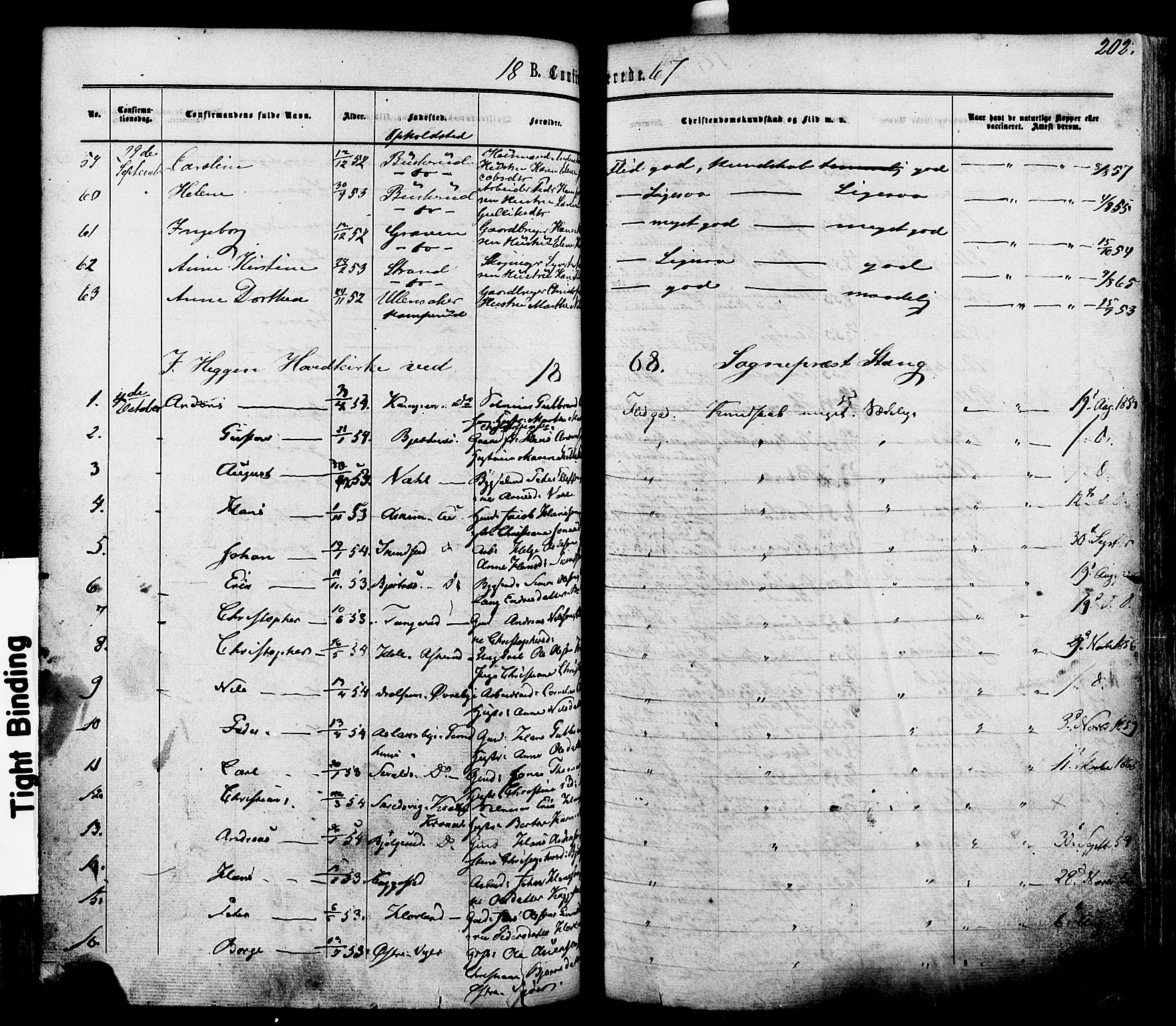 Modum kirkebøker, AV/SAKO-A-234/F/Fa/L0010: Parish register (official) no. 10, 1865-1876, p. 202