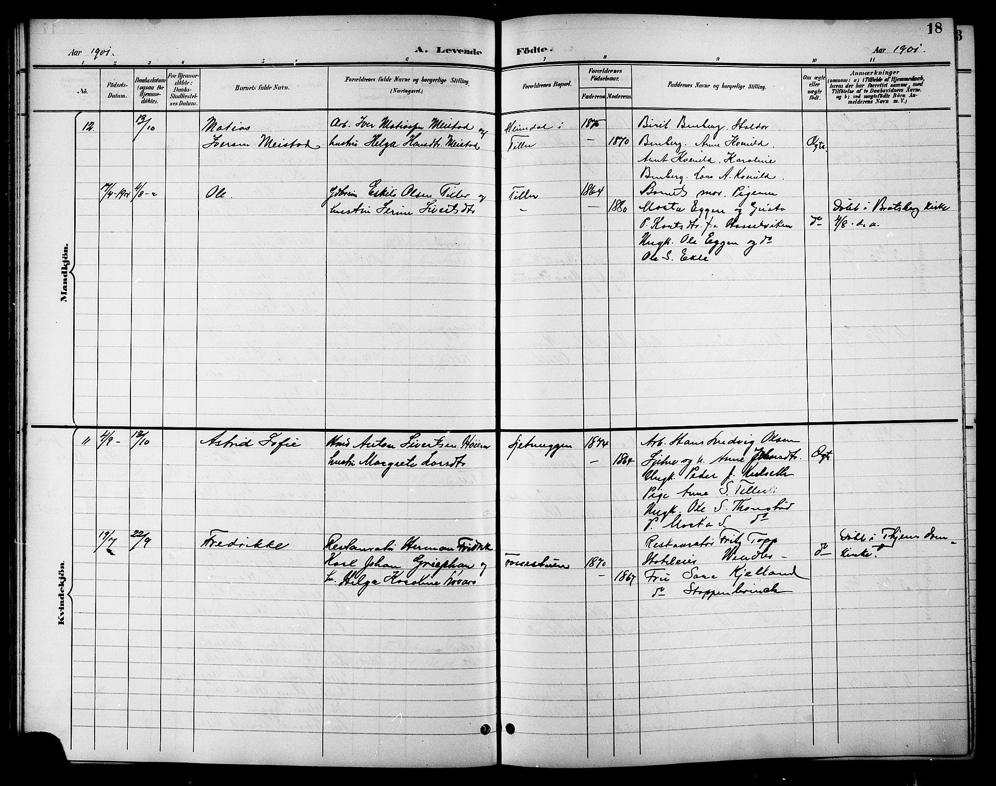 Ministerialprotokoller, klokkerbøker og fødselsregistre - Sør-Trøndelag, SAT/A-1456/621/L0460: Parish register (copy) no. 621C03, 1896-1914, p. 18