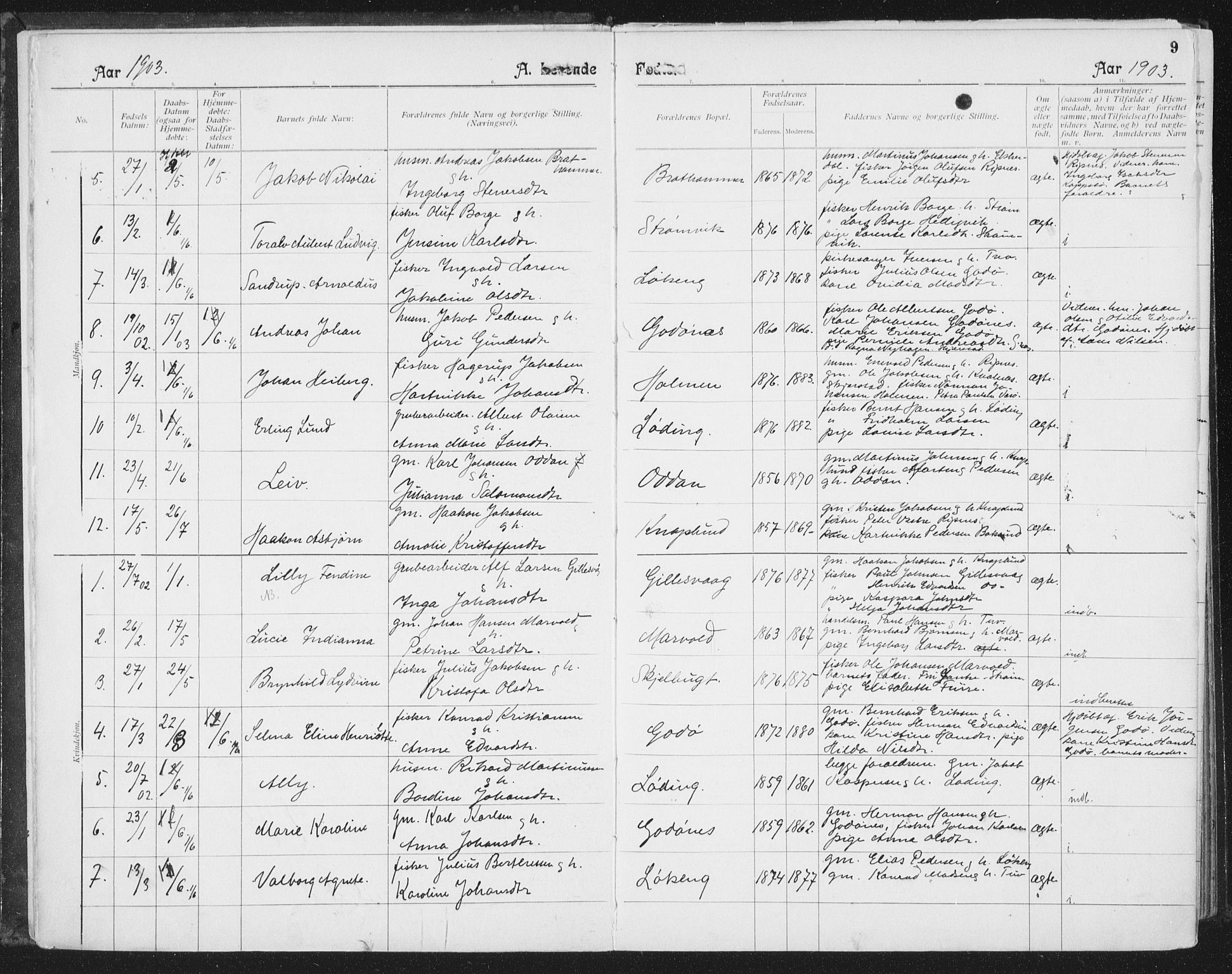 Ministerialprotokoller, klokkerbøker og fødselsregistre - Nordland, SAT/A-1459/804/L0081: Parish register (official) no. 804A02, 1901-1915, p. 9