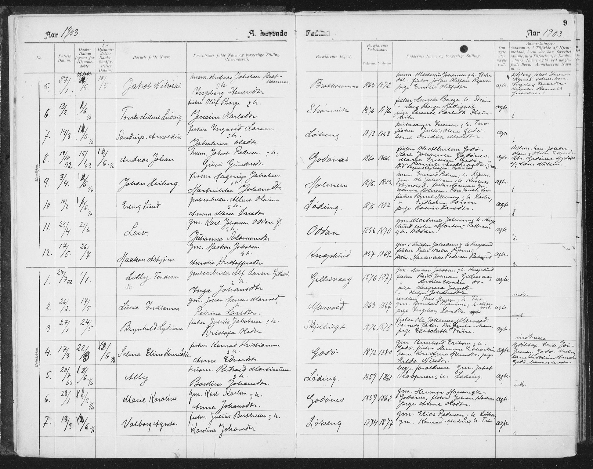 Ministerialprotokoller, klokkerbøker og fødselsregistre - Nordland, AV/SAT-A-1459/804/L0081: Parish register (official) no. 804A02, 1901-1915, p. 9