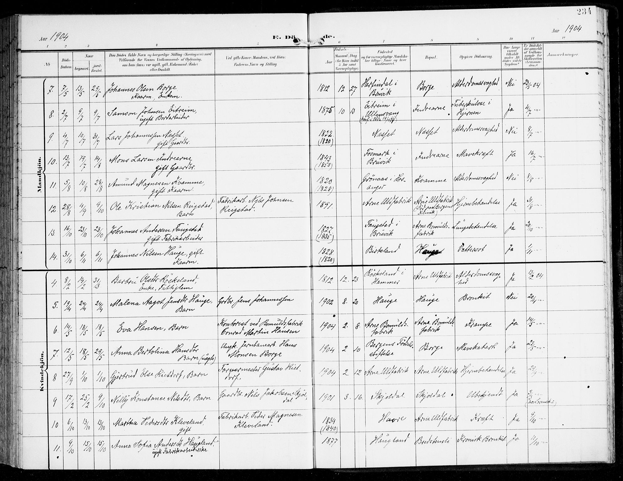 Haus sokneprestembete, SAB/A-75601/H/Haa: Parish register (official) no. D 2, 1899-1912, p. 234