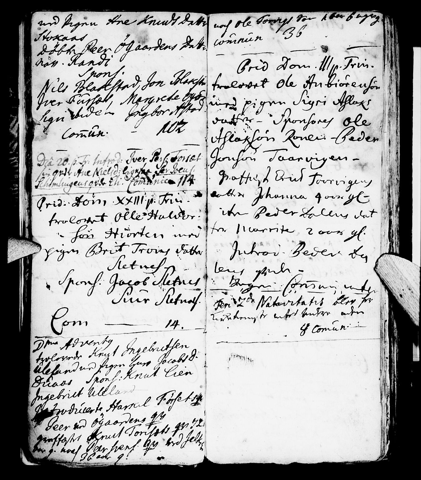 Ministerialprotokoller, klokkerbøker og fødselsregistre - Møre og Romsdal, AV/SAT-A-1454/584/L0964: Parish register (official) no. 584A04, 1732-1754