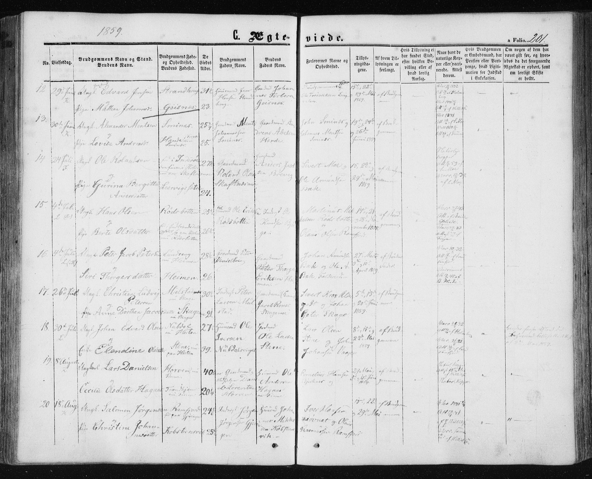 Ministerialprotokoller, klokkerbøker og fødselsregistre - Nord-Trøndelag, AV/SAT-A-1458/780/L0641: Parish register (official) no. 780A06, 1857-1874, p. 201