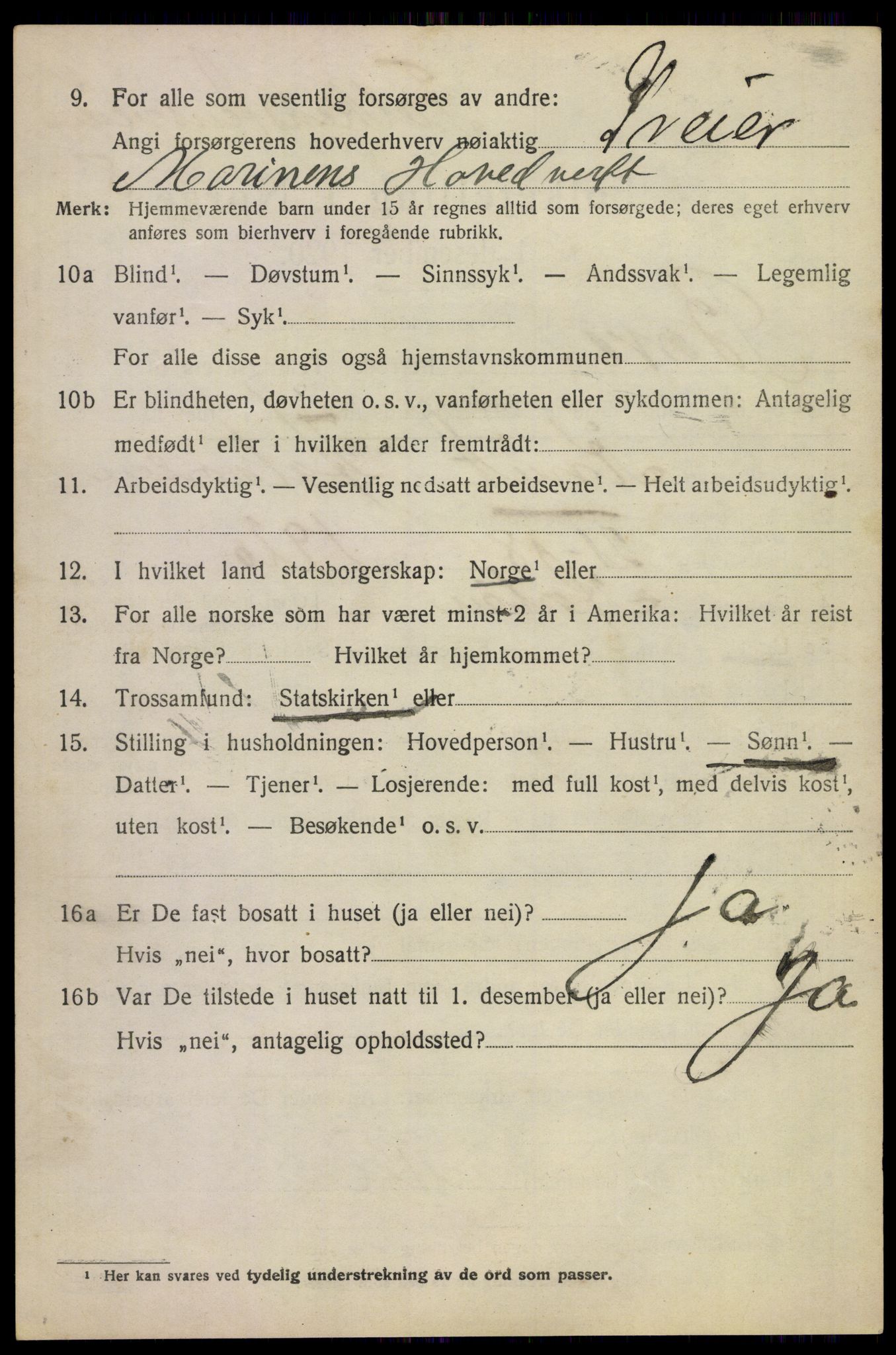 SAKO, 1920 census for Borre, 1920, p. 1383