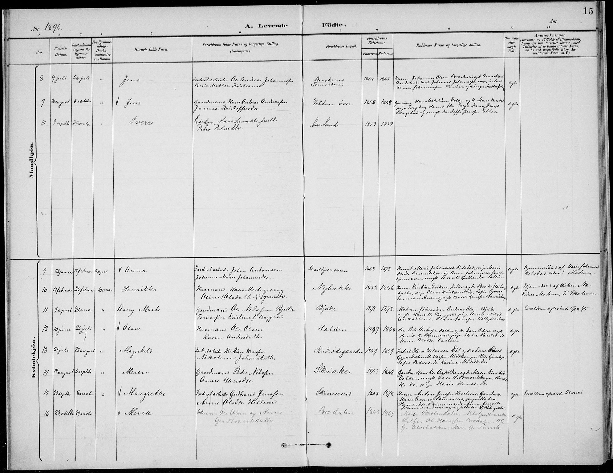 Nordre Land prestekontor, SAH/PREST-124/H/Ha/Hab/L0014: Parish register (copy) no. 14, 1891-1907, p. 15