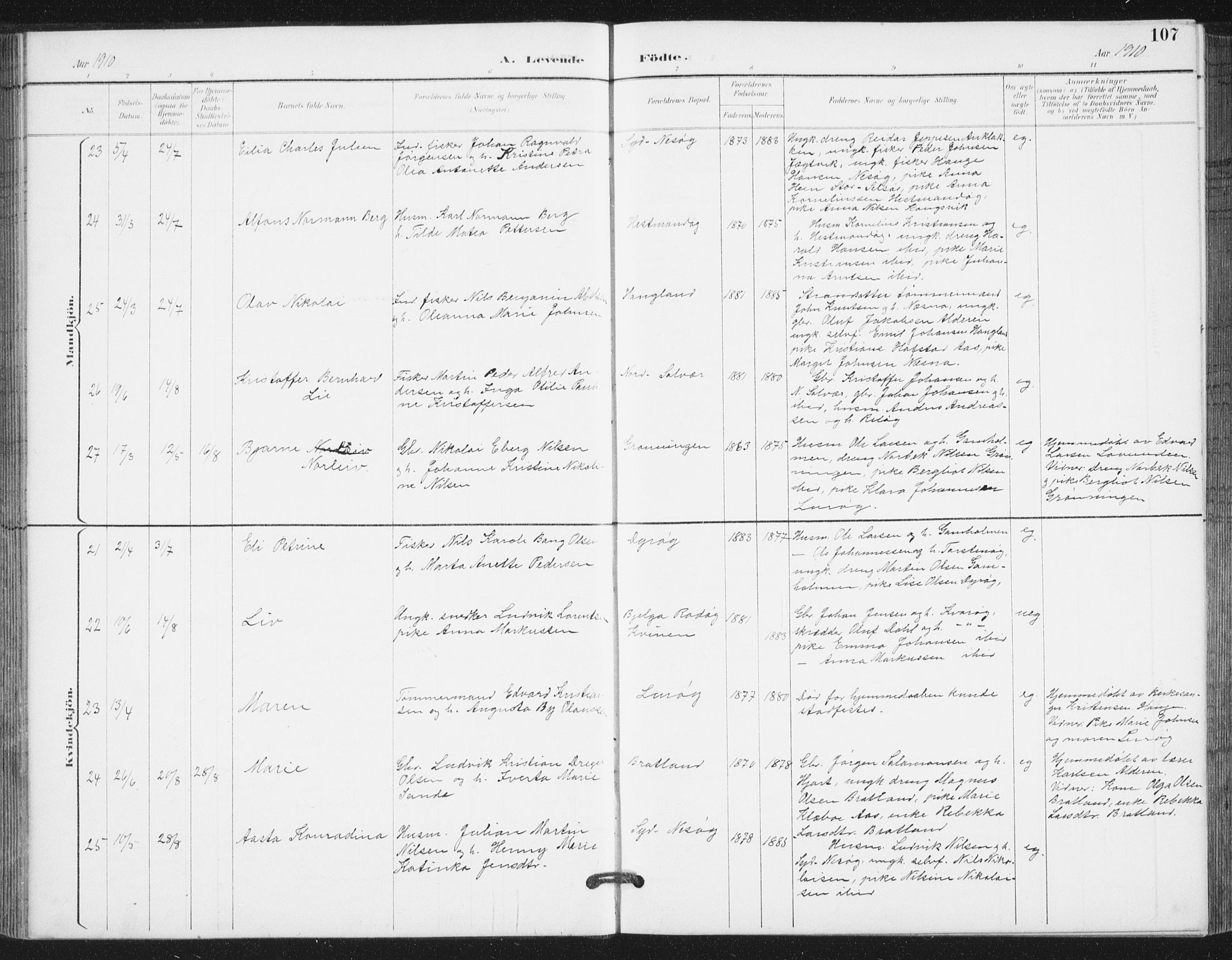 Ministerialprotokoller, klokkerbøker og fødselsregistre - Nordland, AV/SAT-A-1459/839/L0573: Parish register (copy) no. 839C03, 1892-1917, p. 107