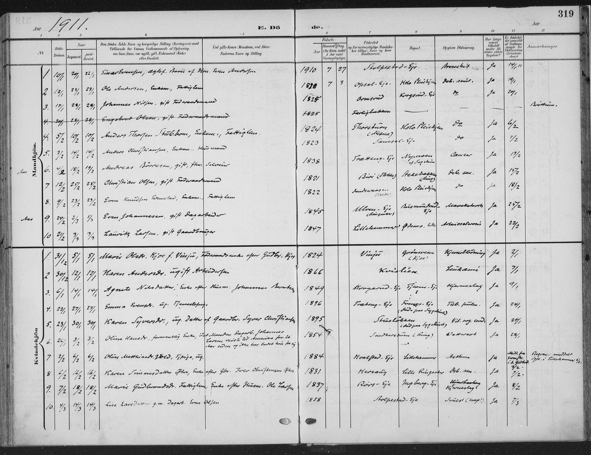 Ringsaker prestekontor, AV/SAH-PREST-014/K/Ka/L0018: Parish register (official) no. 18, 1903-1912, p. 319