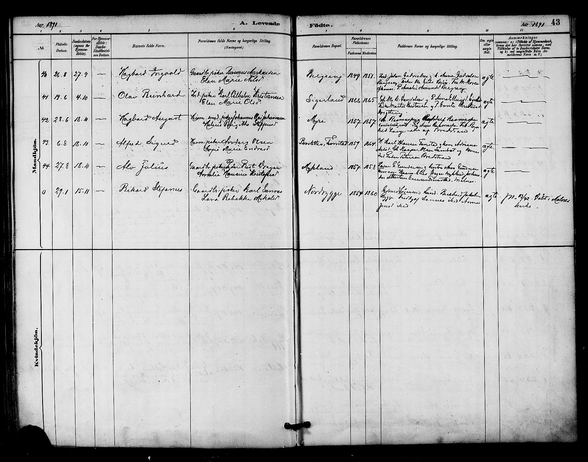 Ministerialprotokoller, klokkerbøker og fødselsregistre - Nordland, AV/SAT-A-1459/893/L1337: Parish register (official) no. 893A09, 1885-1893, p. 43