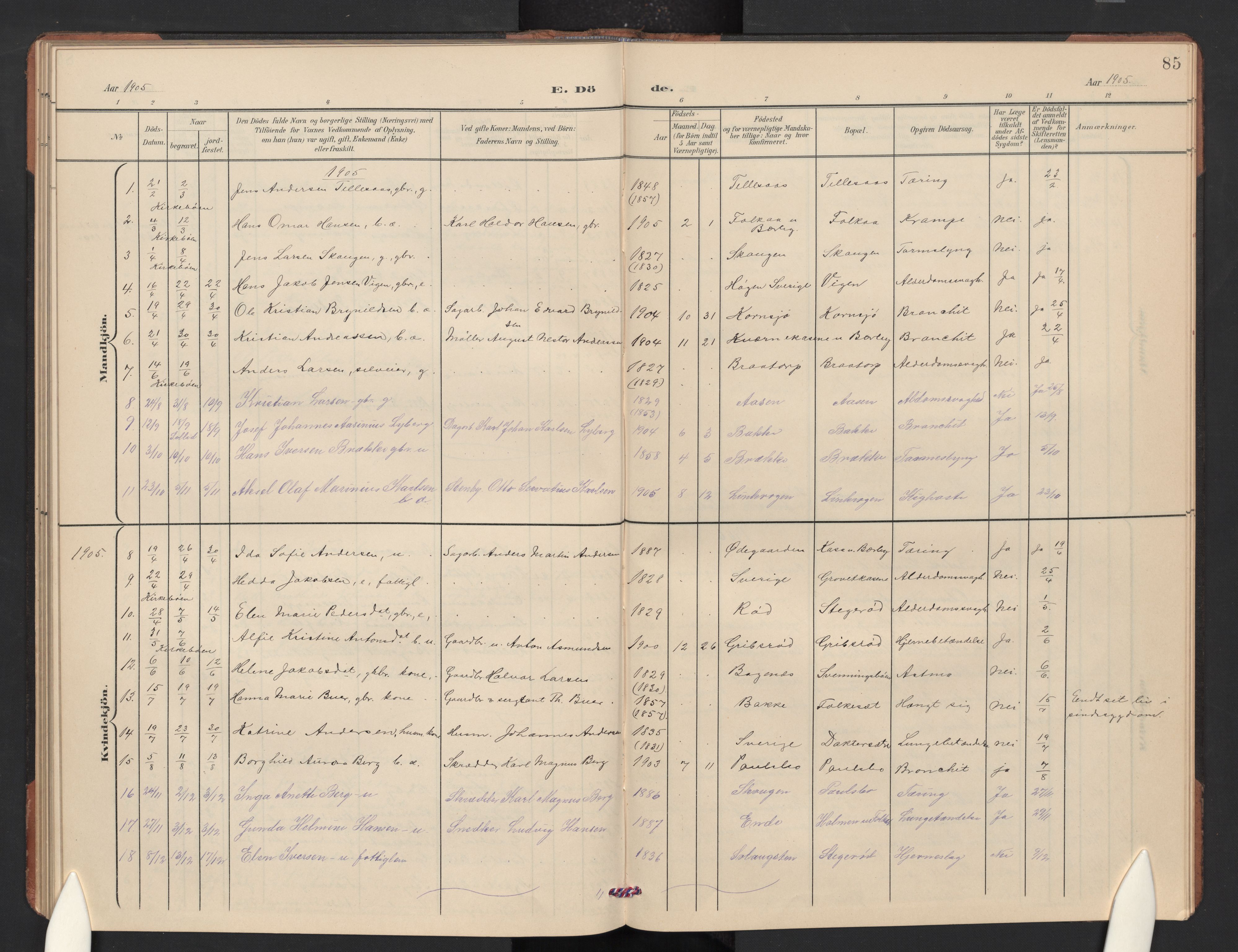 Idd prestekontor Kirkebøker, SAO/A-10911/G/Gc/L0001: Parish register (copy) no. III 1, 1901-1910, p. 85