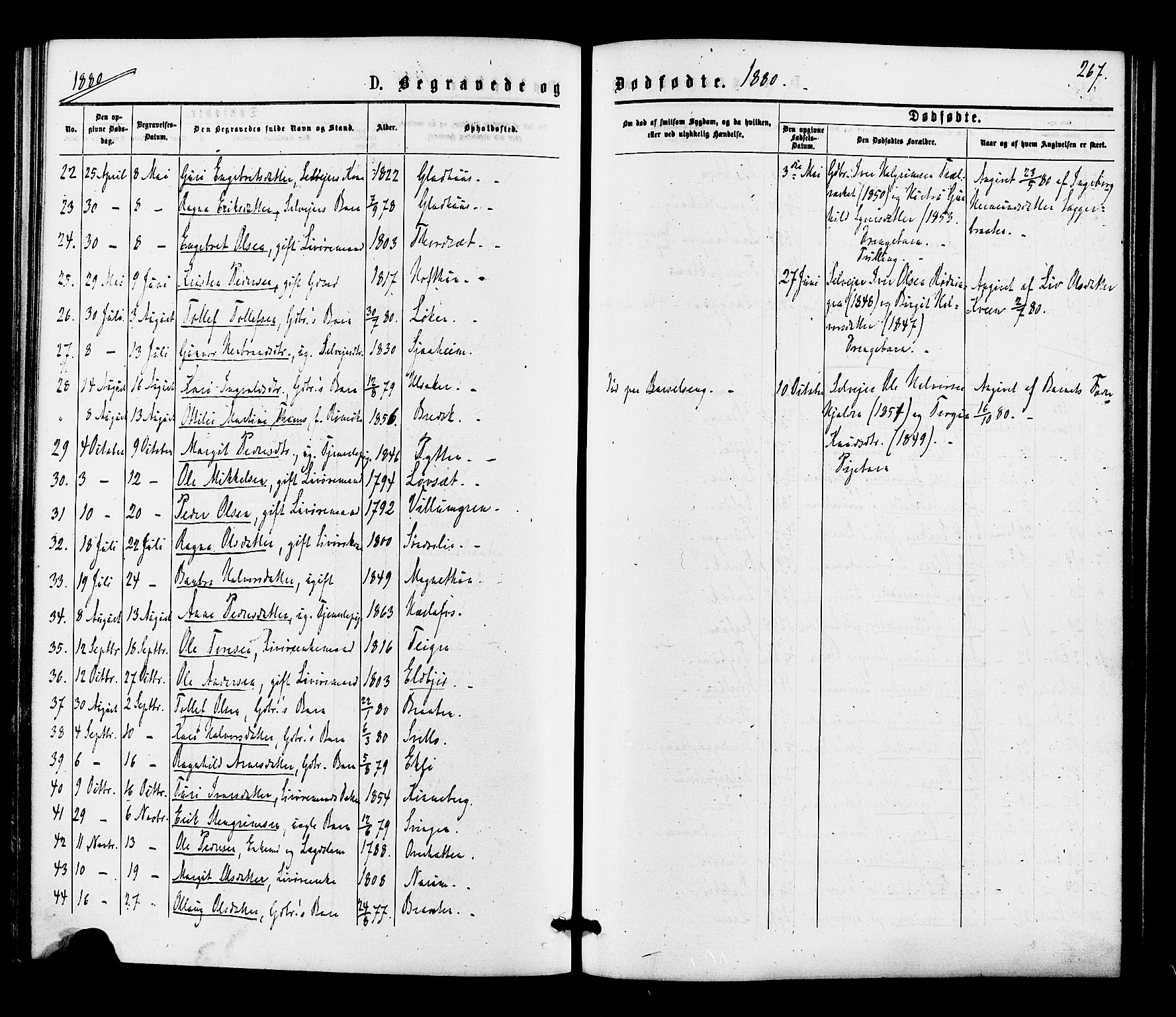 Gol kirkebøker, SAKO/A-226/F/Fa/L0004: Parish register (official) no. I 4, 1876-1886, p. 267
