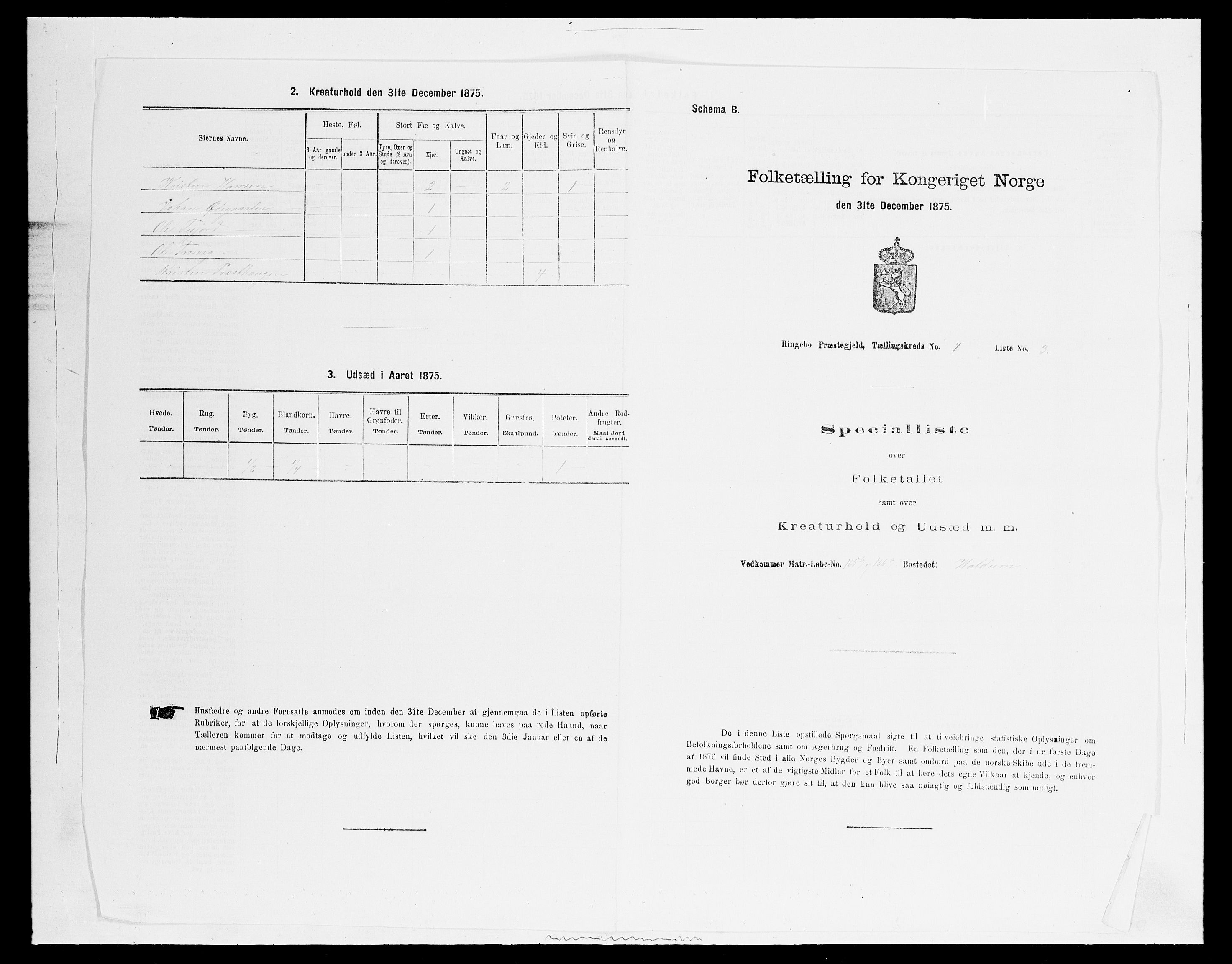 SAH, 1875 census for 0520P Ringebu, 1875, p. 1014