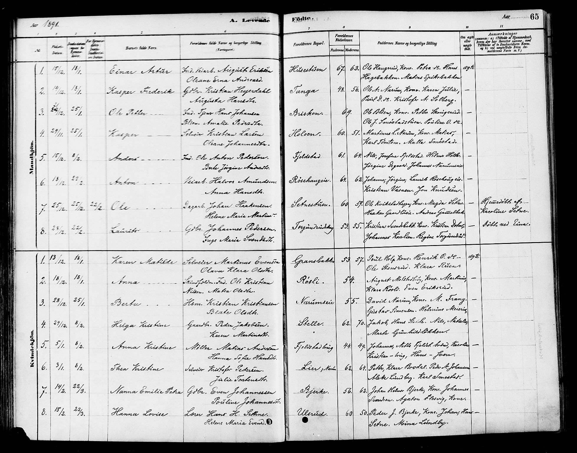 Vestre Toten prestekontor, SAH/PREST-108/H/Ha/Haa/L0010: Parish register (official) no. 10, 1878-1894, p. 65