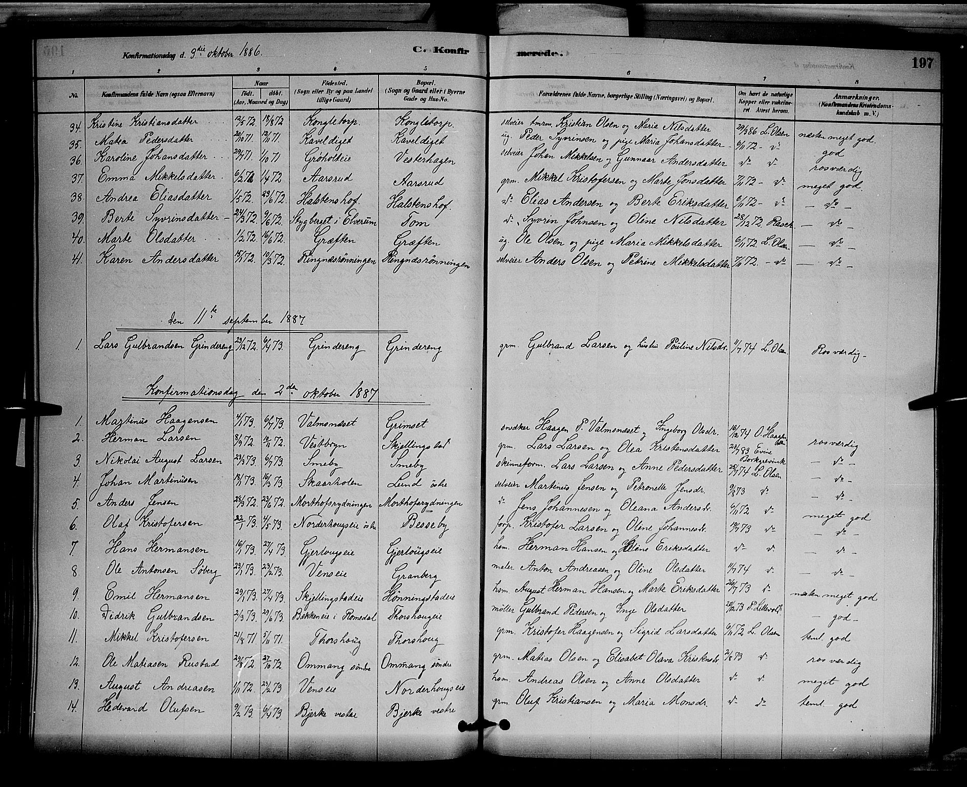Løten prestekontor, SAH/PREST-022/L/La/L0005: Parish register (copy) no. 5, 1878-1891, p. 197