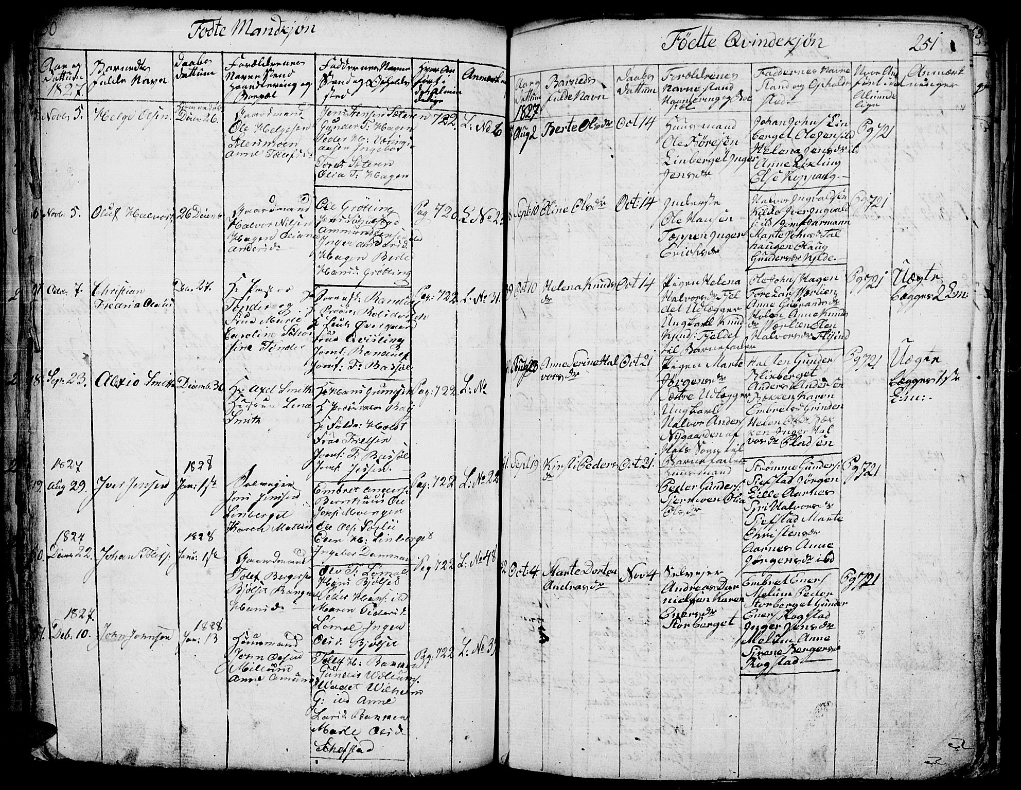 Elverum prestekontor, AV/SAH-PREST-044/H/Ha/Hab/L0001: Parish register (copy) no. 1, 1815-1829, p. 250-251