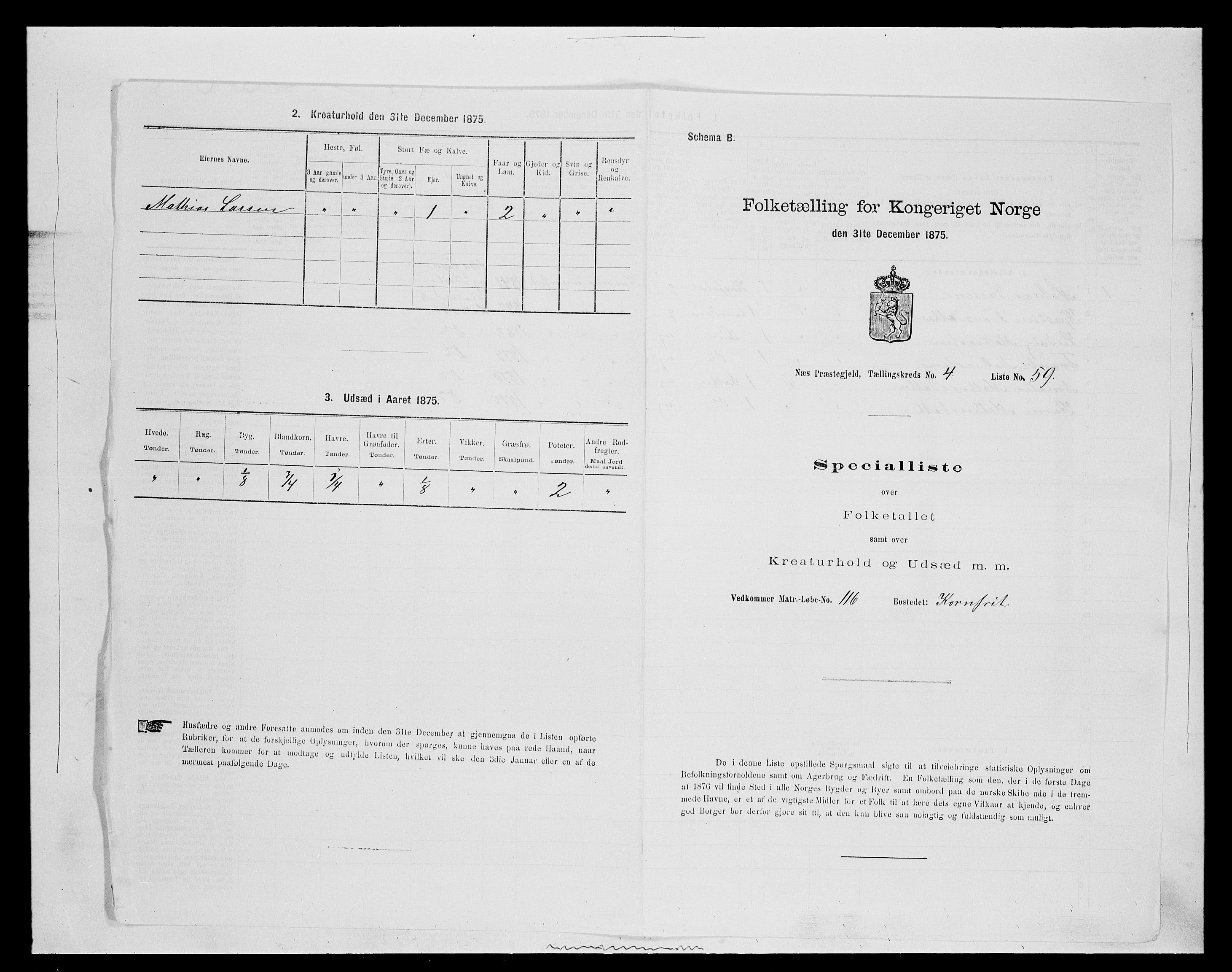 SAH, 1875 census for 0411P Nes, 1875, p. 783