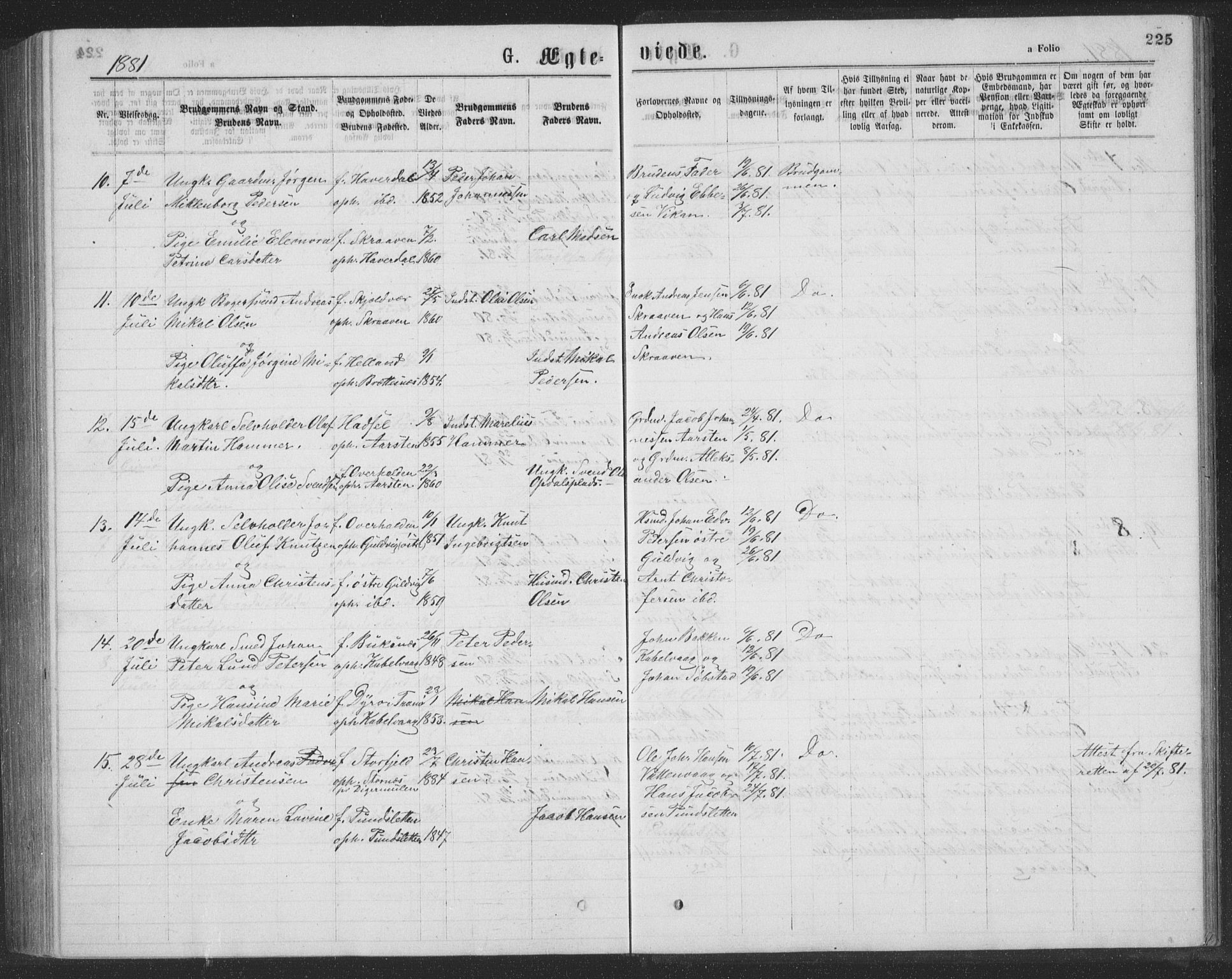 Ministerialprotokoller, klokkerbøker og fødselsregistre - Nordland, AV/SAT-A-1459/874/L1075: Parish register (copy) no. 874C04, 1876-1883, p. 225