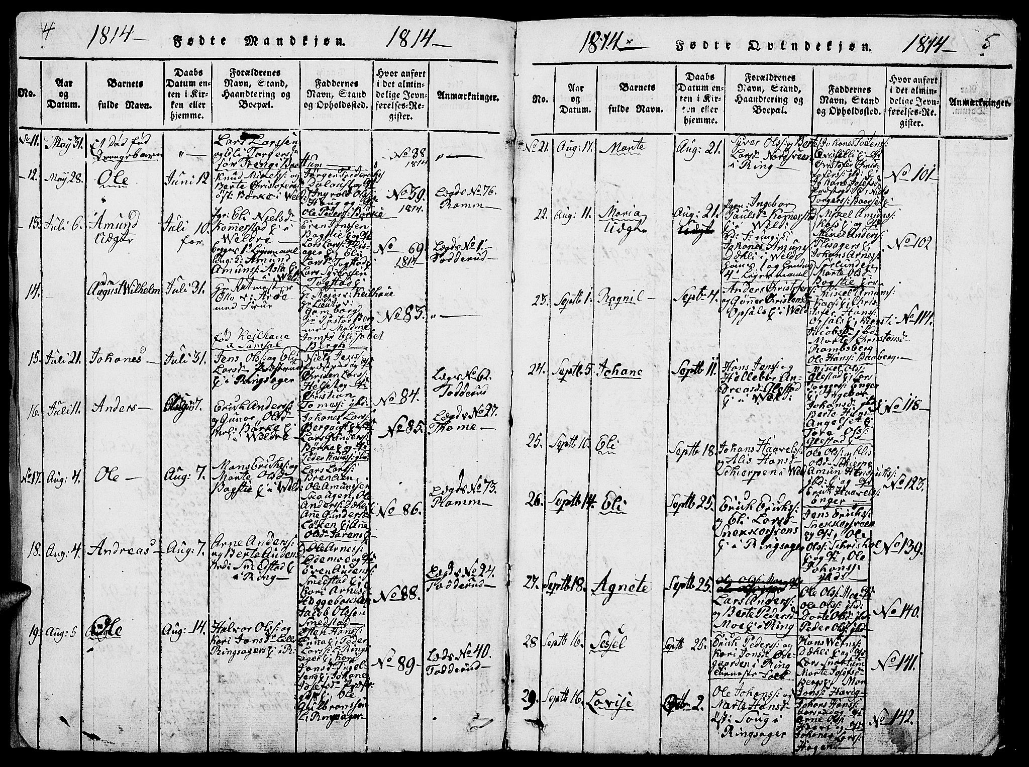 Ringsaker prestekontor, AV/SAH-PREST-014/L/La/L0001: Parish register (copy) no. 1, 1814-1826, p. 4-5