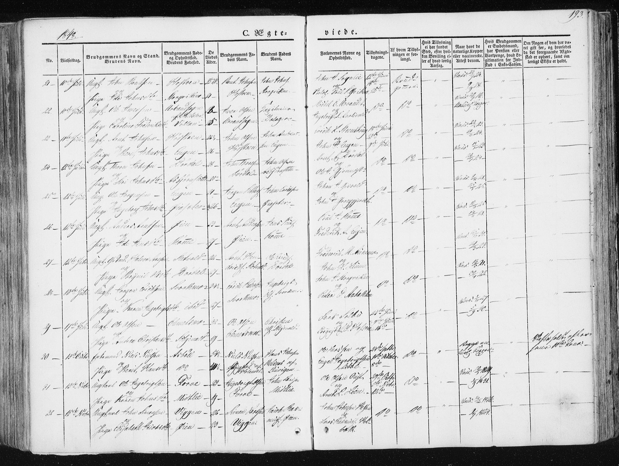 Ministerialprotokoller, klokkerbøker og fødselsregistre - Sør-Trøndelag, AV/SAT-A-1456/668/L0805: Parish register (official) no. 668A05, 1840-1853, p. 193