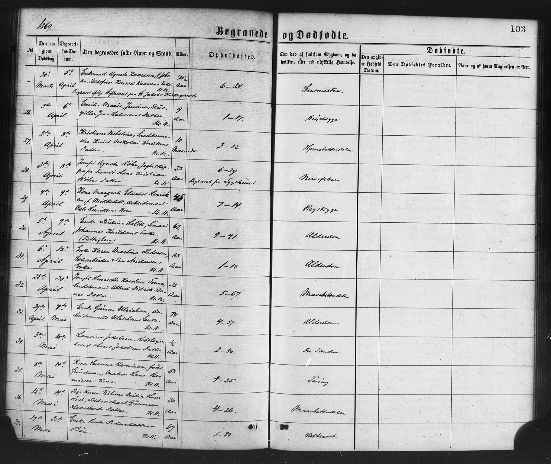 Nykirken Sokneprestembete, AV/SAB-A-77101/H/Haa/L0043: Parish register (official) no. E 3, 1869-1882, p. 103